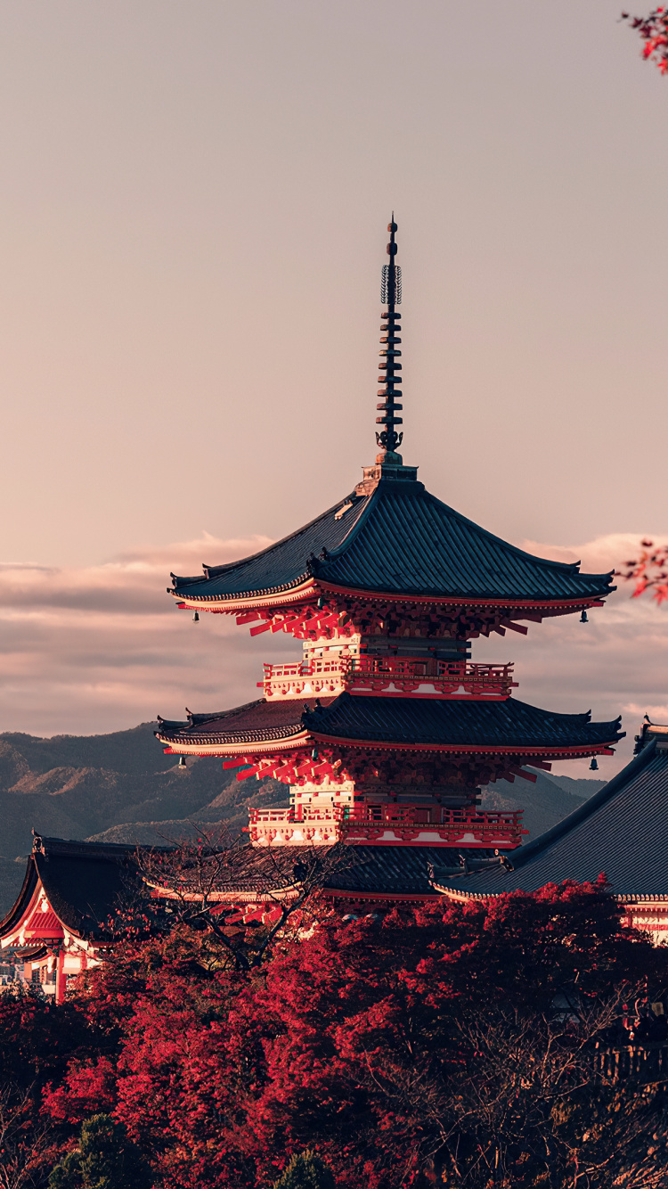 Yasaka Shrine, Cloud, Building, Plant, Natural Landscape. Wallpaper in 750x1334 Resolution