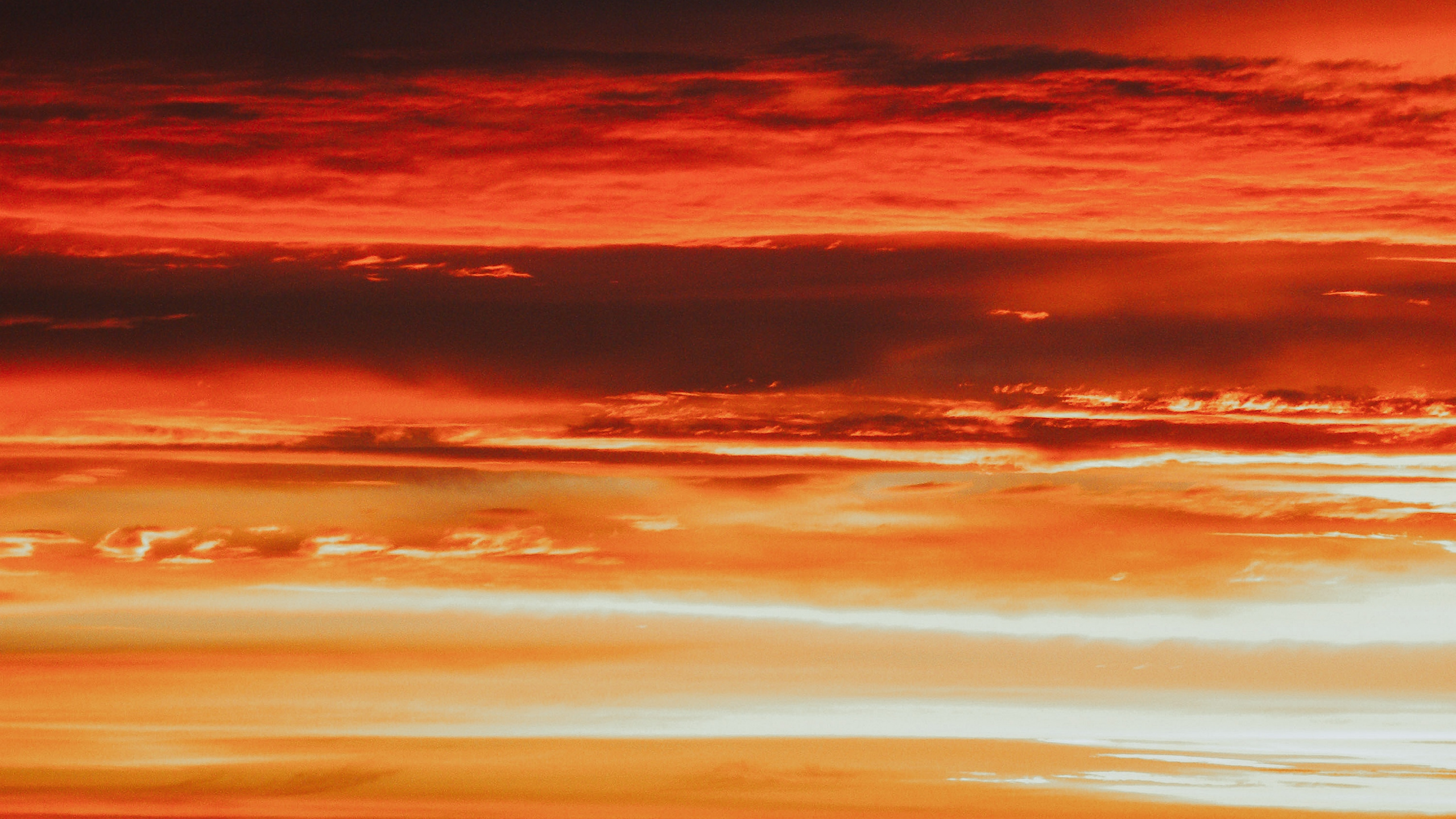 Lever, Afterglow, Red, Horizon, Orange. Wallpaper in 2560x1440 Resolution