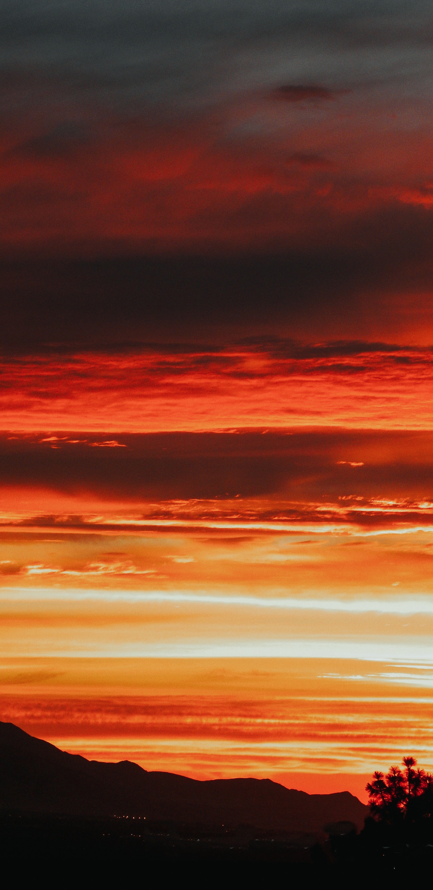 Sonnenuntergang, Sonnenaufgang, Afterglow, Horizont, Cloud. Wallpaper in 1440x2960 Resolution