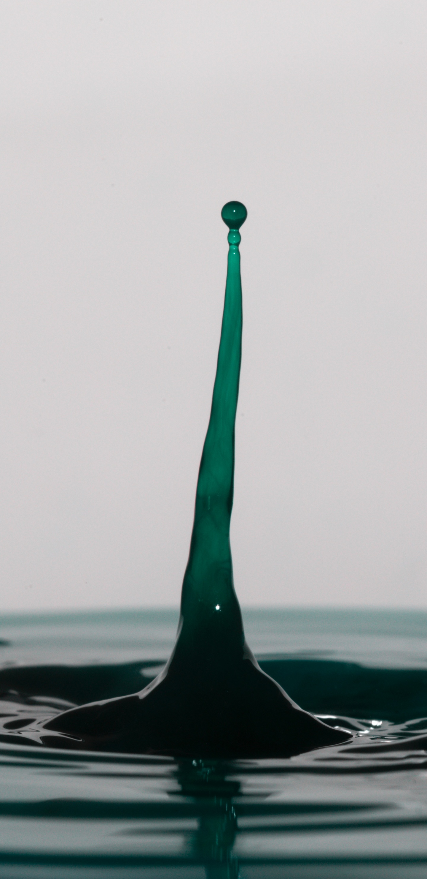 Personne Dans L'eau Pendant la Journée. Wallpaper in 1440x2960 Resolution