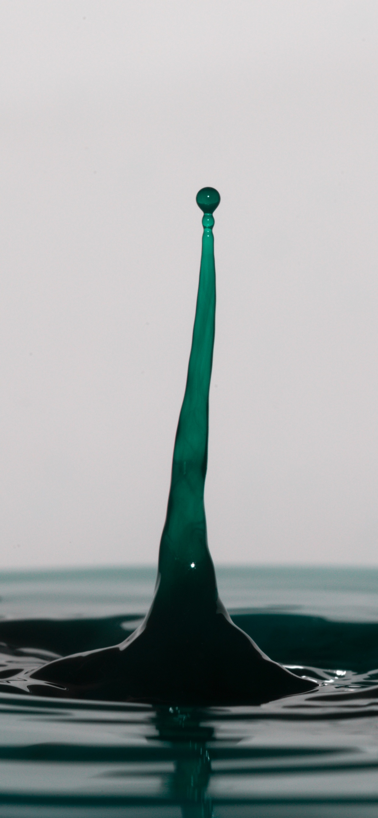 Person im Wasser Tagsüber. Wallpaper in 1242x2688 Resolution