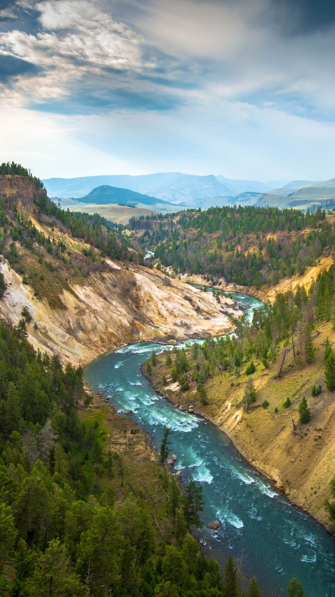 Fluss Zwischen Grünen Bäumen Unter Blauem Himmel Tagsüber. Wallpaper in 1080x1920 Resolution