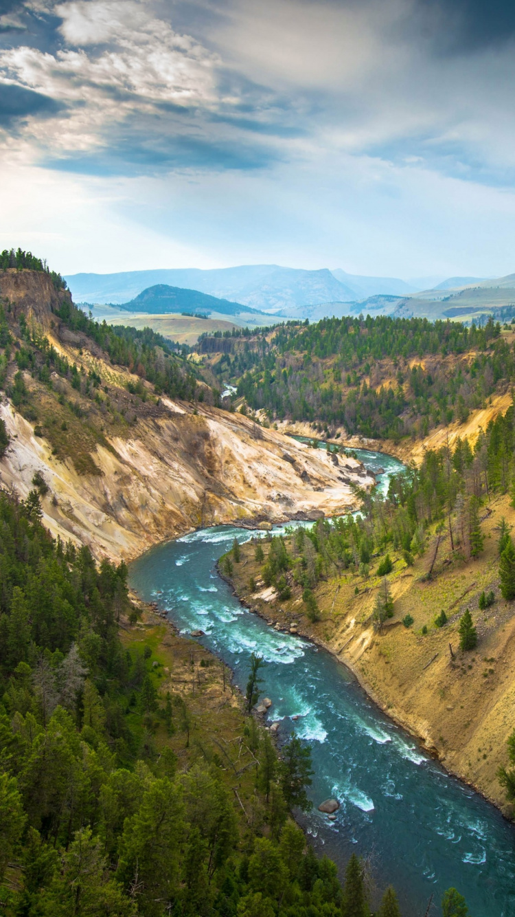 Fluss Zwischen Grünen Bäumen Unter Blauem Himmel Tagsüber. Wallpaper in 750x1334 Resolution