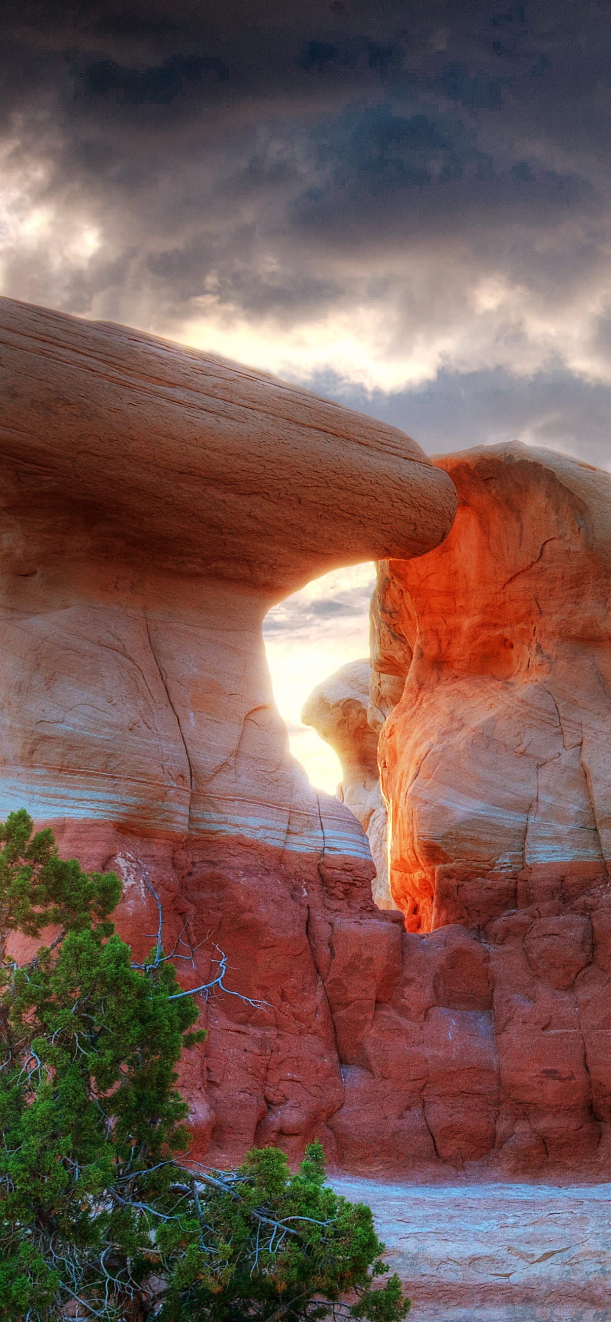 形成, 峡谷, 拱门, 天然拱门, 地质学 壁纸 1242x2688 允许