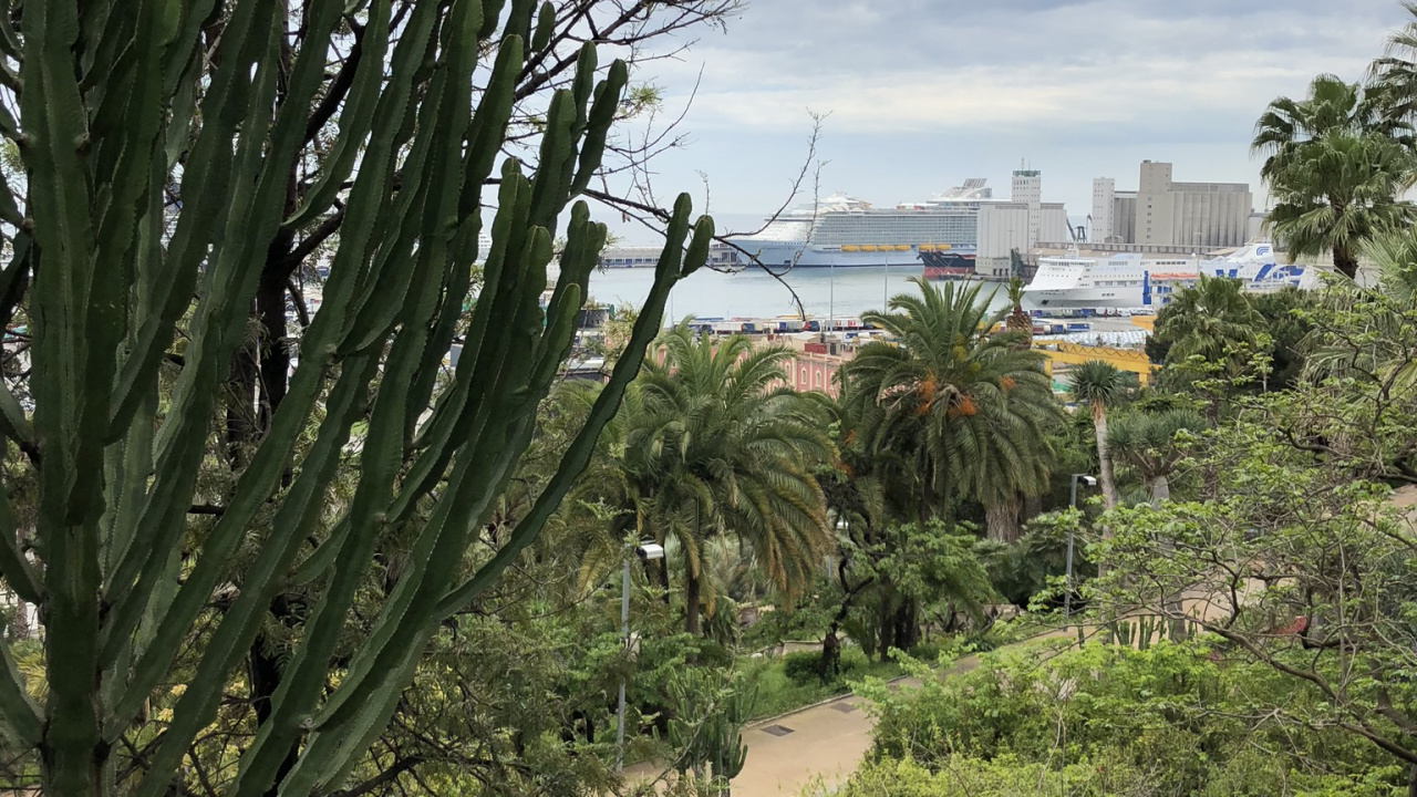 Vegetation, Biome, Shrubland, Grasses, Physics. Wallpaper in 1280x720 Resolution