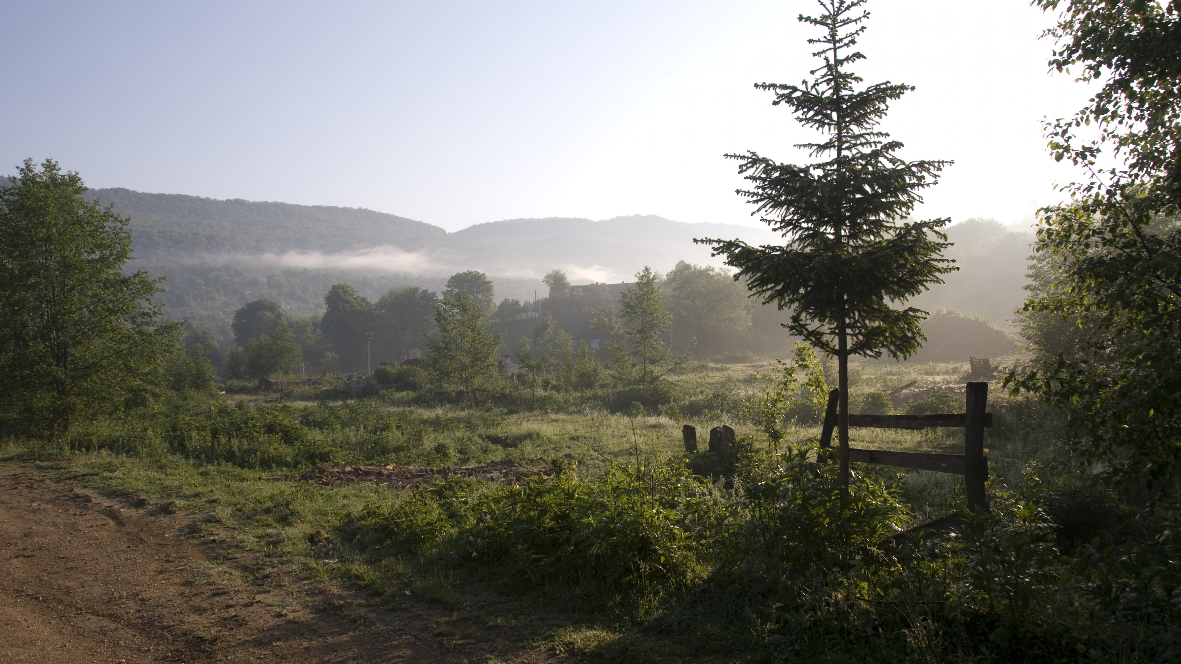 Green Tree on Green Grass Field During Daytime. Wallpaper in 3840x2160 Resolution