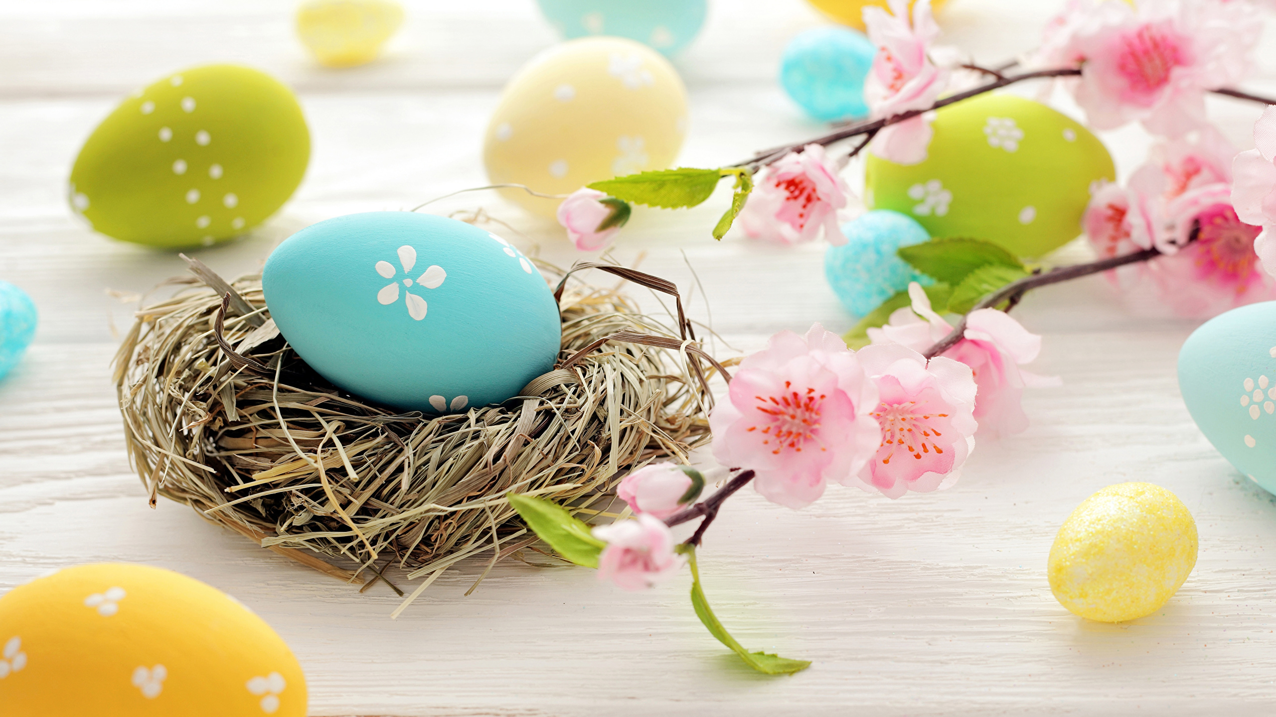 Huevo de Pascua, Pascua, Huevo, Canasta de Pascua, Dia. Wallpaper in 2560x1440 Resolution