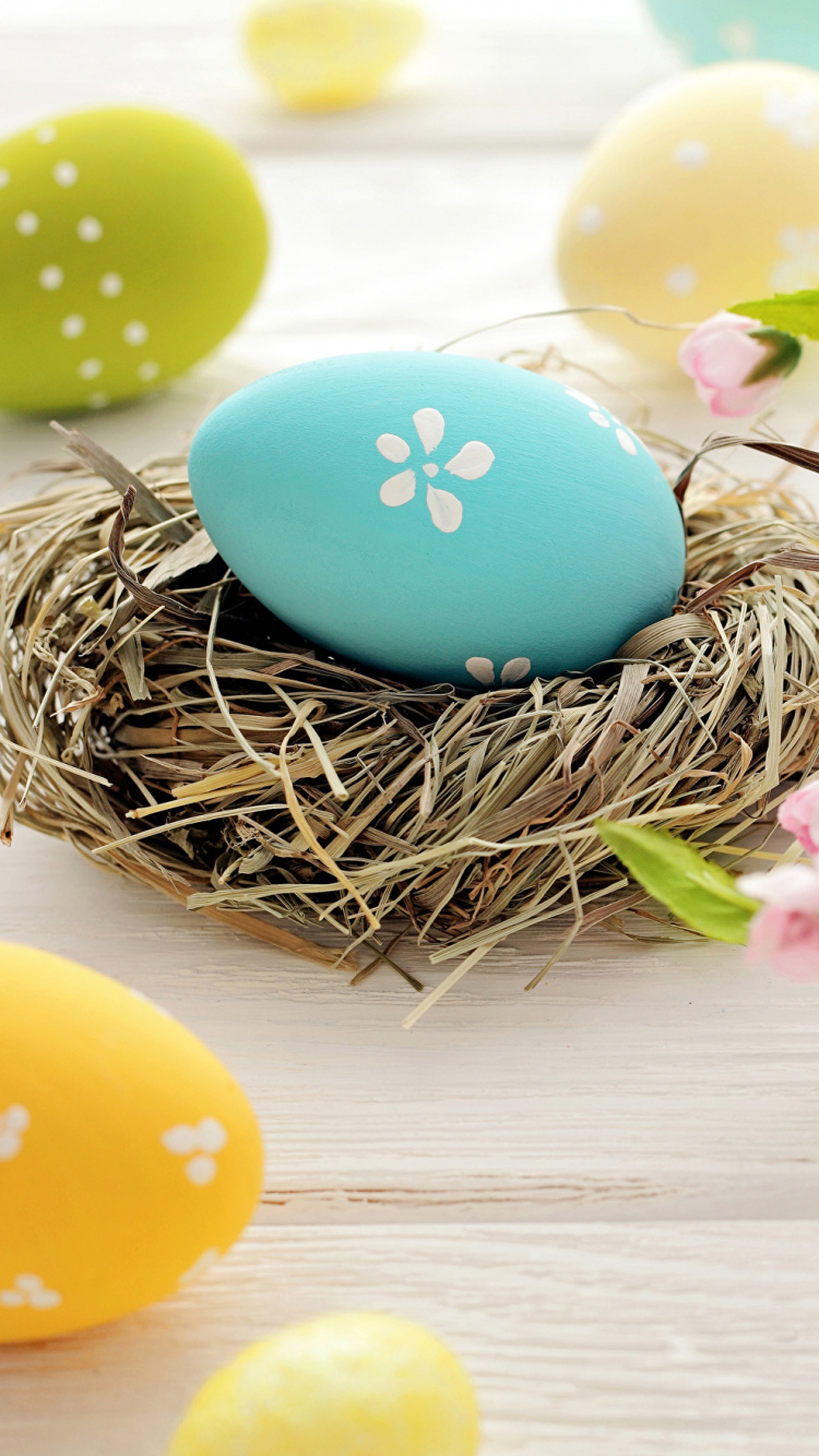 Huevo de Pascua, Pascua, Huevo, Canasta de Pascua, Dia. Wallpaper in 750x1334 Resolution