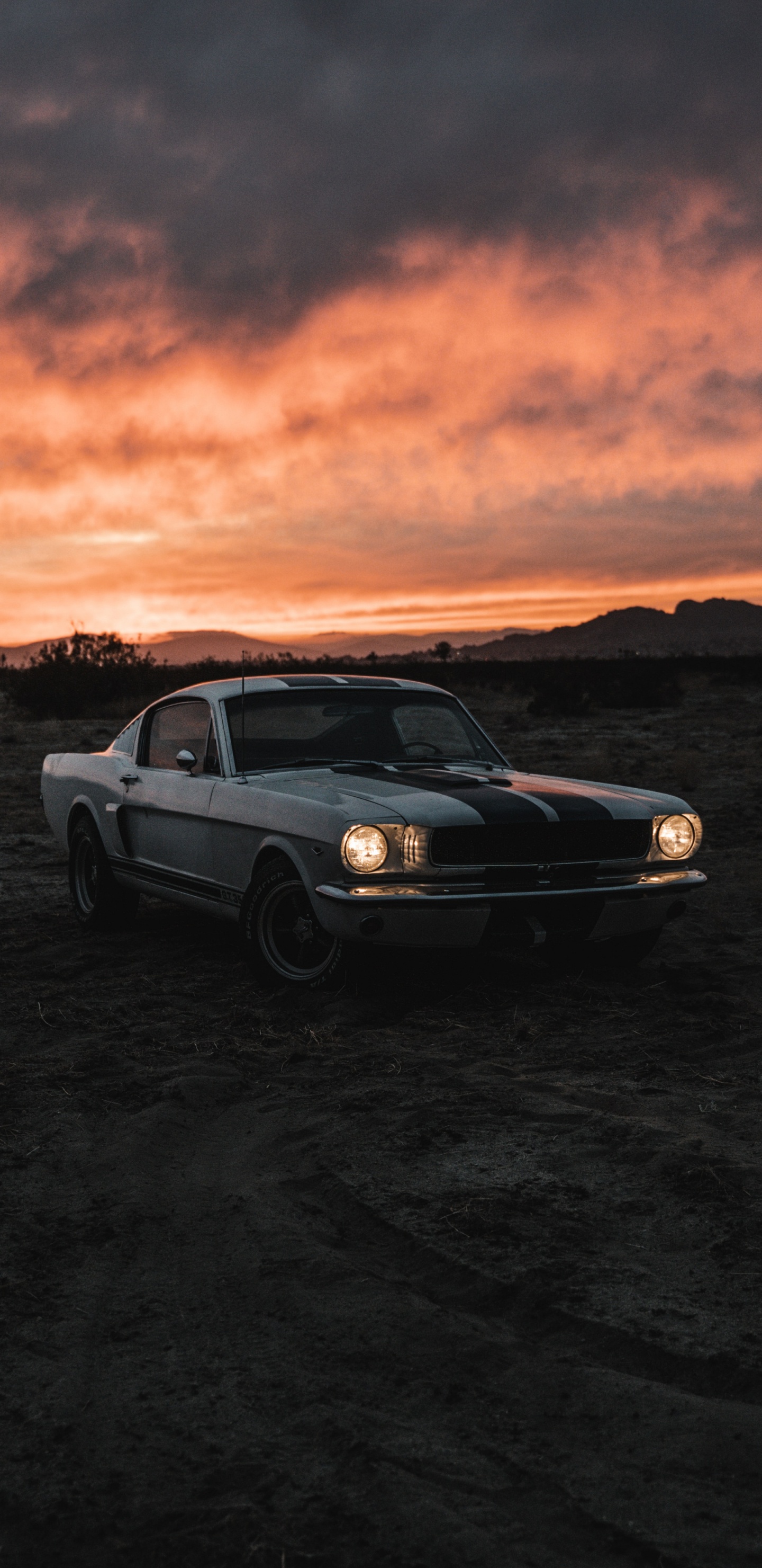 Reflection, Cars, Cloud, Tire, Wheel. Wallpaper in 1440x2960 Resolution