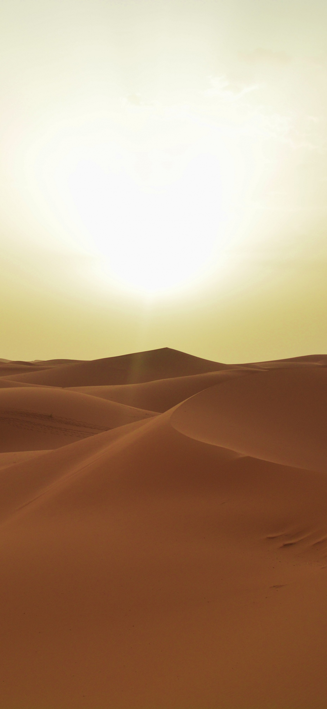 Sun Over Desert During Daytime. Wallpaper in 1125x2436 Resolution