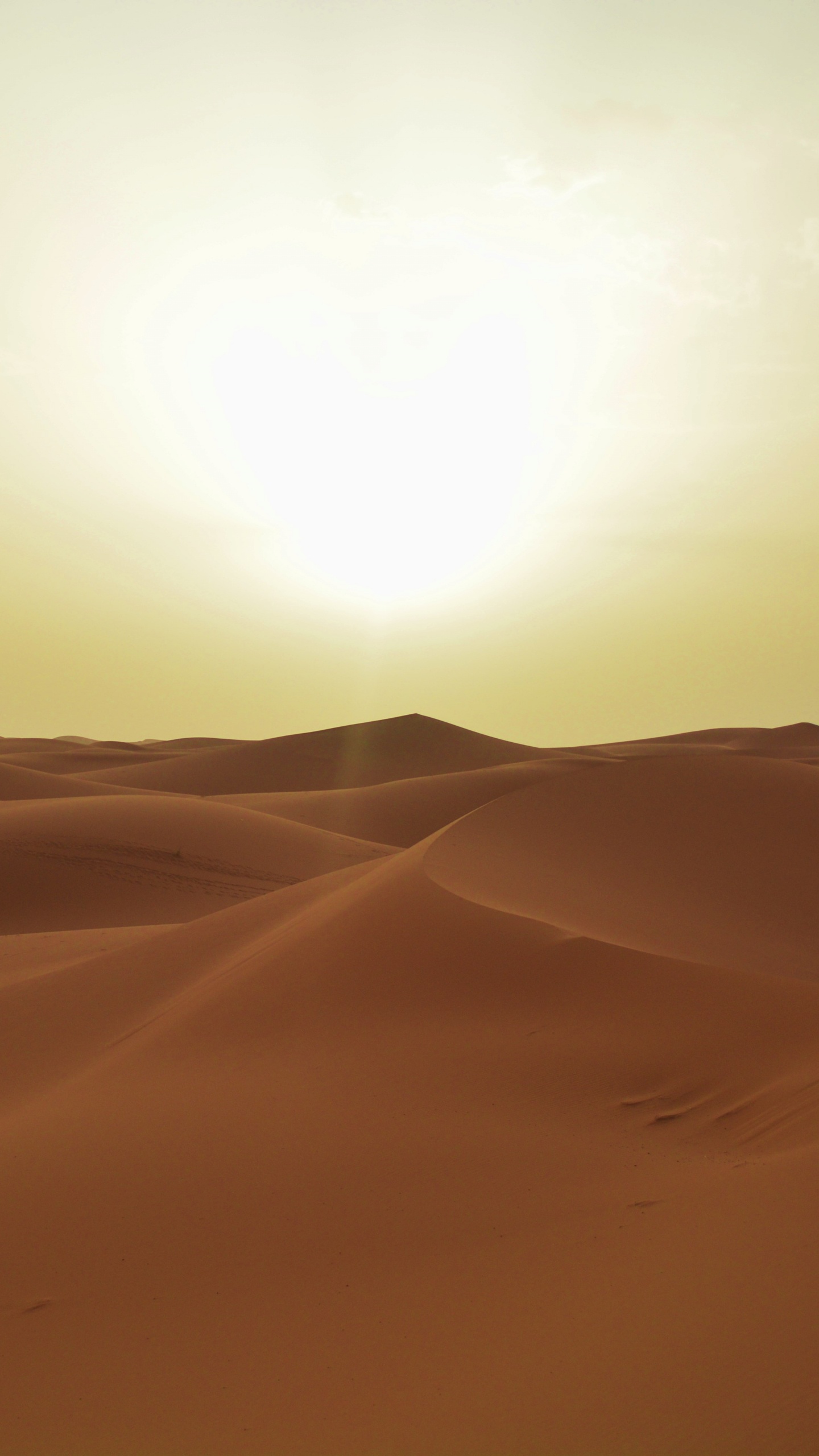 Sun Over Desert During Daytime. Wallpaper in 1440x2560 Resolution