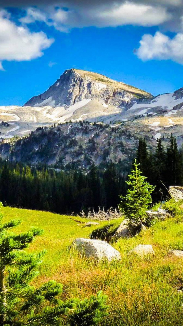 Green Pine Trees Near Snow Covered Mountain Under Blue Sky During Daytime. Wallpaper in 750x1334 Resolution