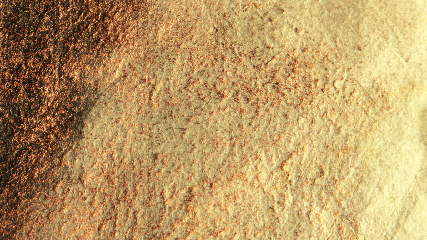 Person in Schwarzen Schuhen, Die Auf Braunem Teppich Steht. Wallpaper in 1366x768 Resolution