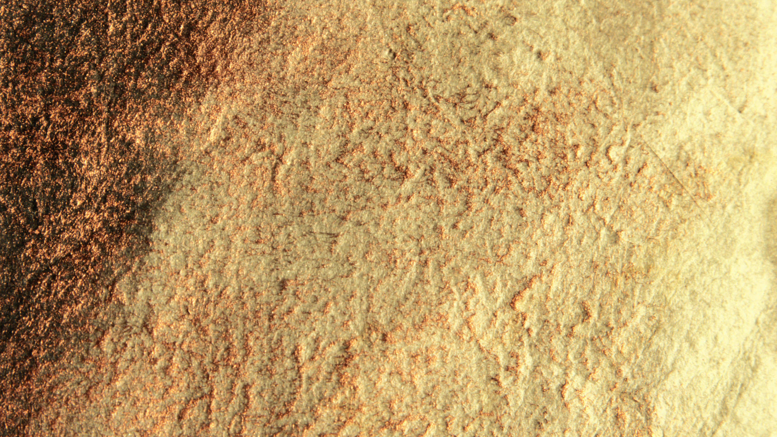 Person in Schwarzen Schuhen, Die Auf Braunem Teppich Steht. Wallpaper in 2560x1440 Resolution