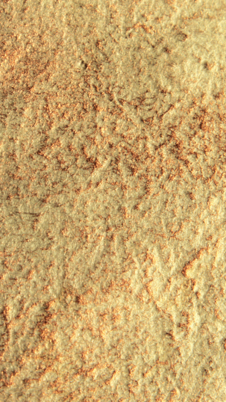 Person in Schwarzen Schuhen, Die Auf Braunem Teppich Steht. Wallpaper in 750x1334 Resolution