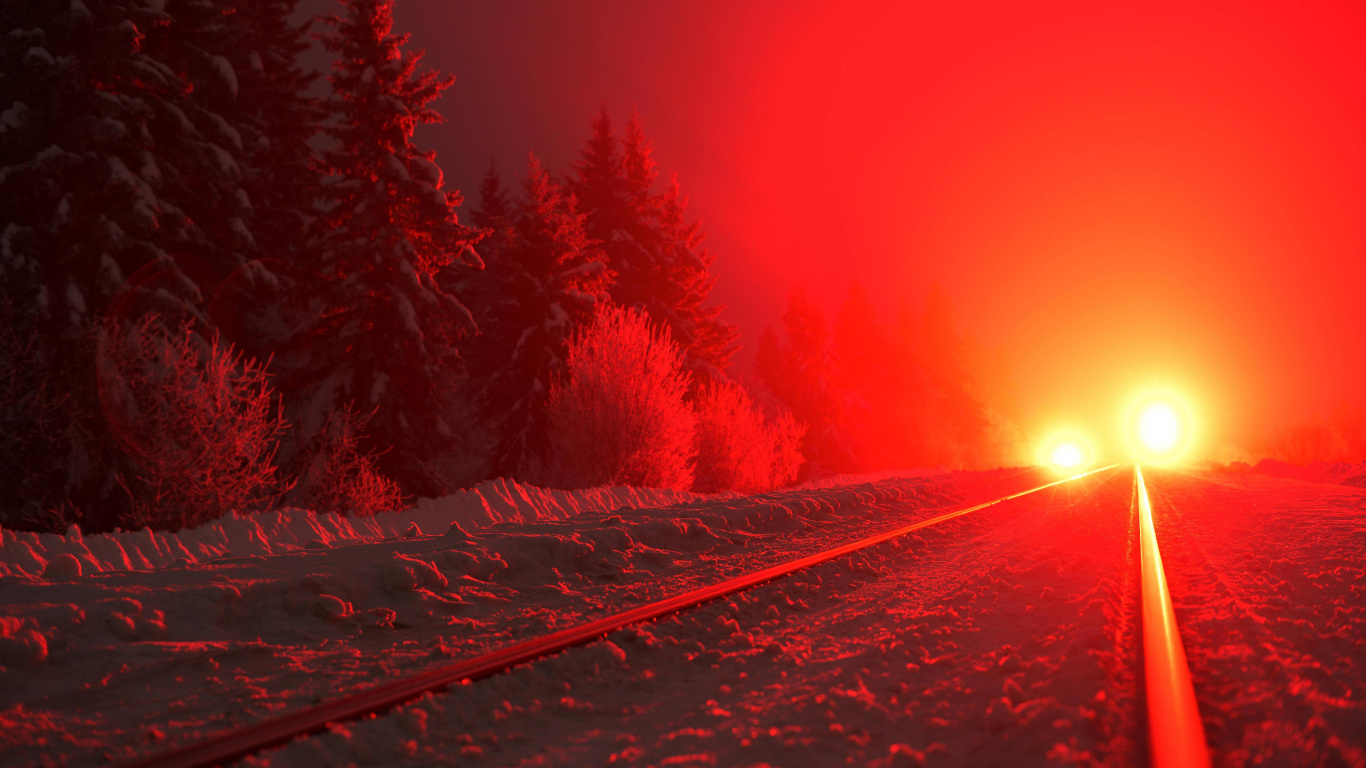 Pine Trees Covered With Snow During Night Time. Wallpaper in 1366x768 Resolution