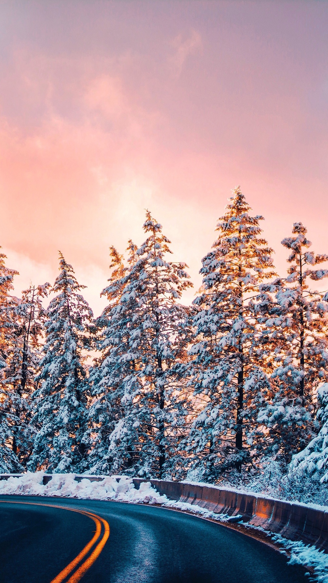 Pin, Ciel, Mount Scenery, Congélation, Paysage Naturel. Wallpaper in 1080x1920 Resolution