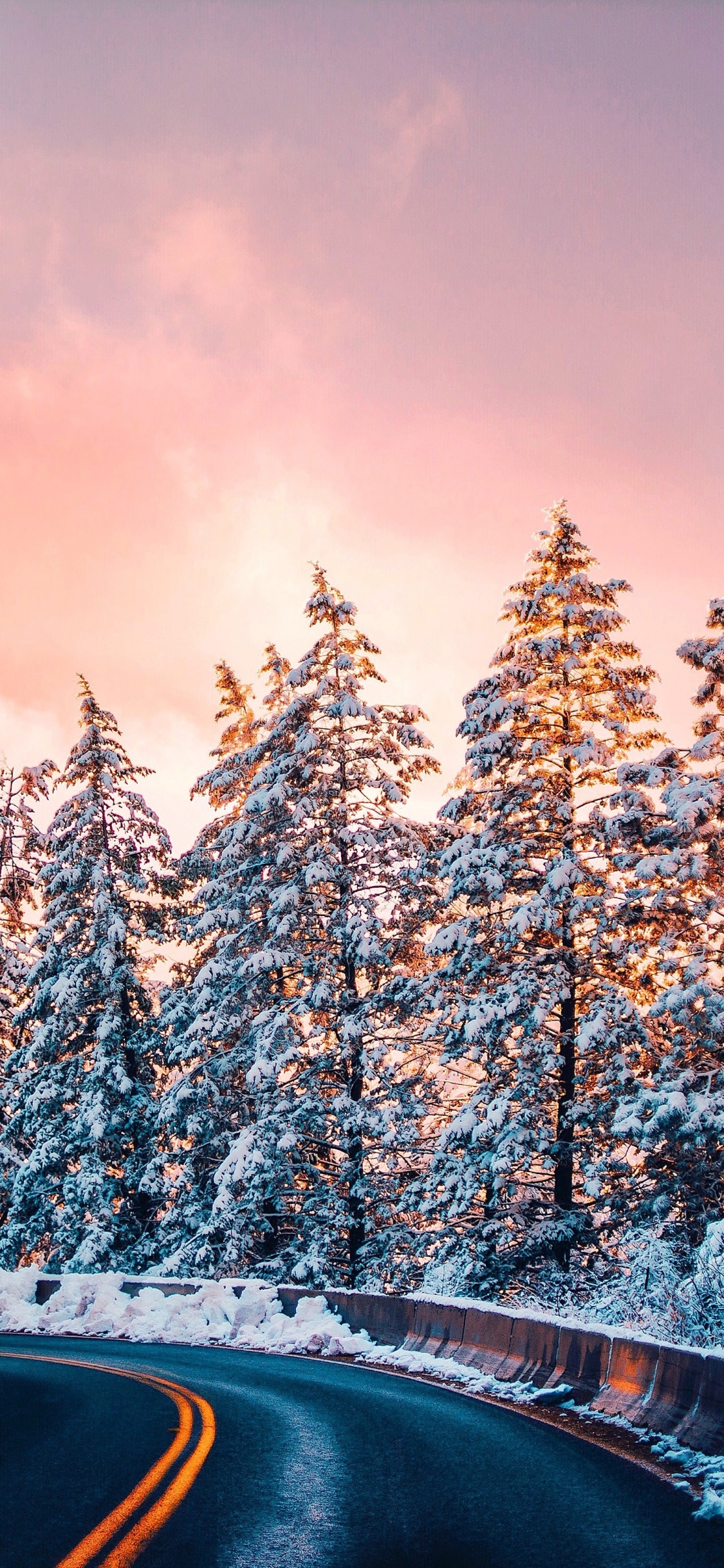 Pin, Ciel, Mount Scenery, Congélation, Paysage Naturel. Wallpaper in 1125x2436 Resolution