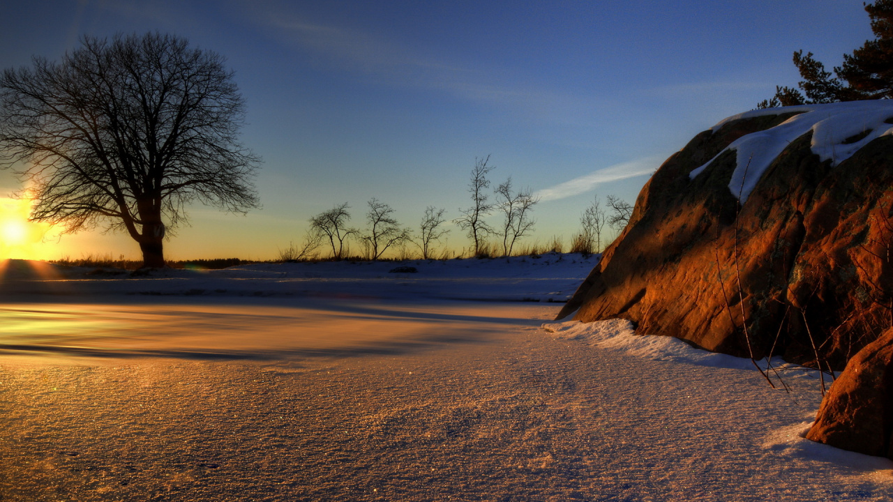 Sable Brun et Arbres Verts Pendant la Journée. Wallpaper in 1280x720 Resolution