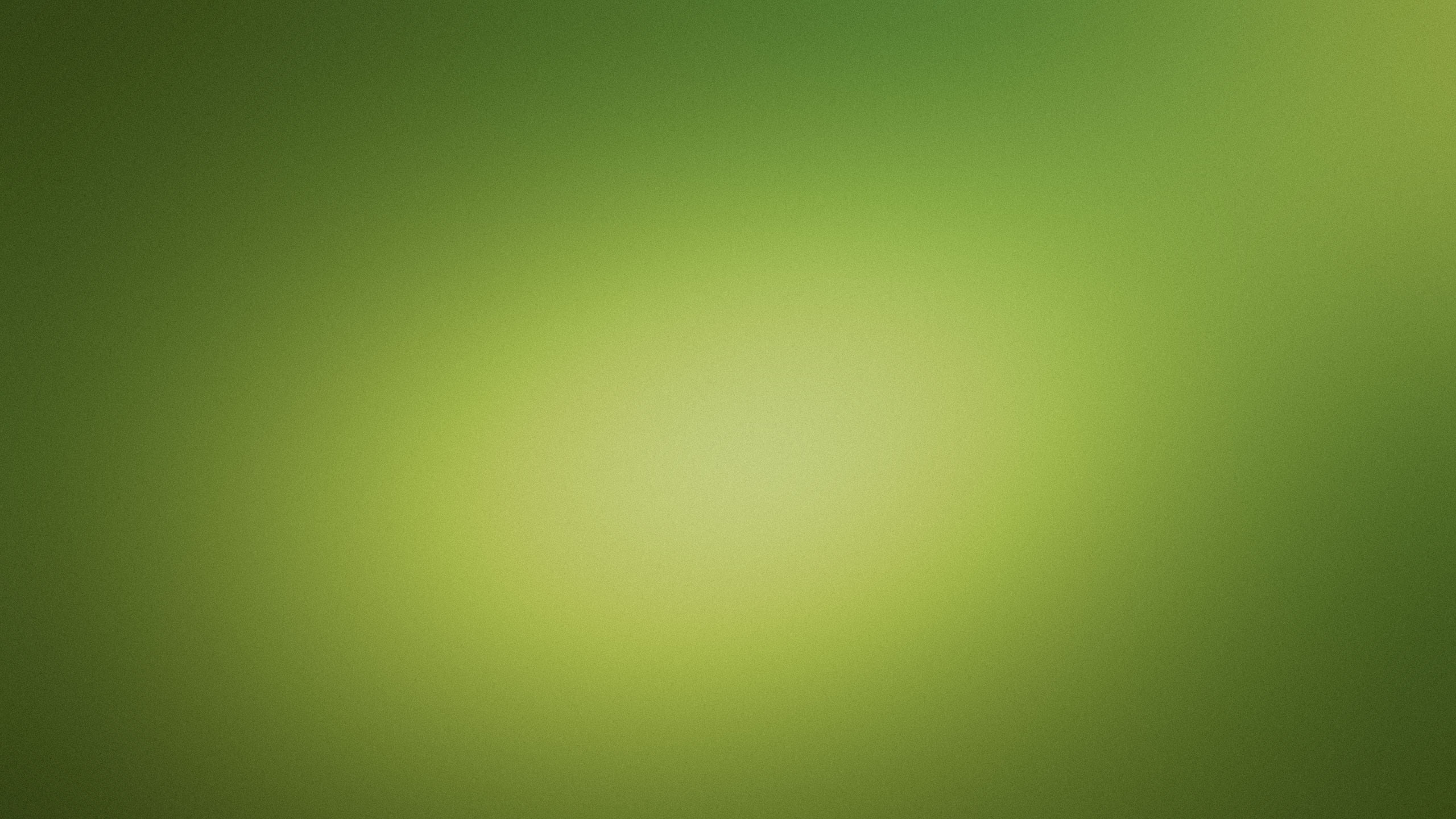 Green Textile in Close up Image. Wallpaper in 2560x1440 Resolution