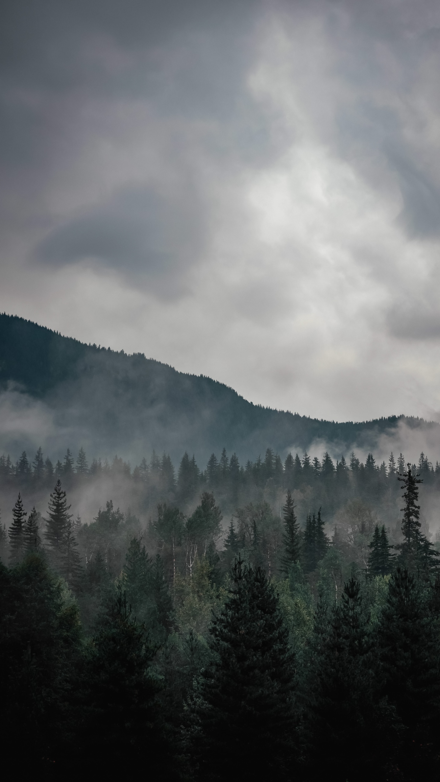 Atmosphère, L'écorégion, Environnement Naturel, Paysage Naturel, Highland. Wallpaper in 1440x2560 Resolution