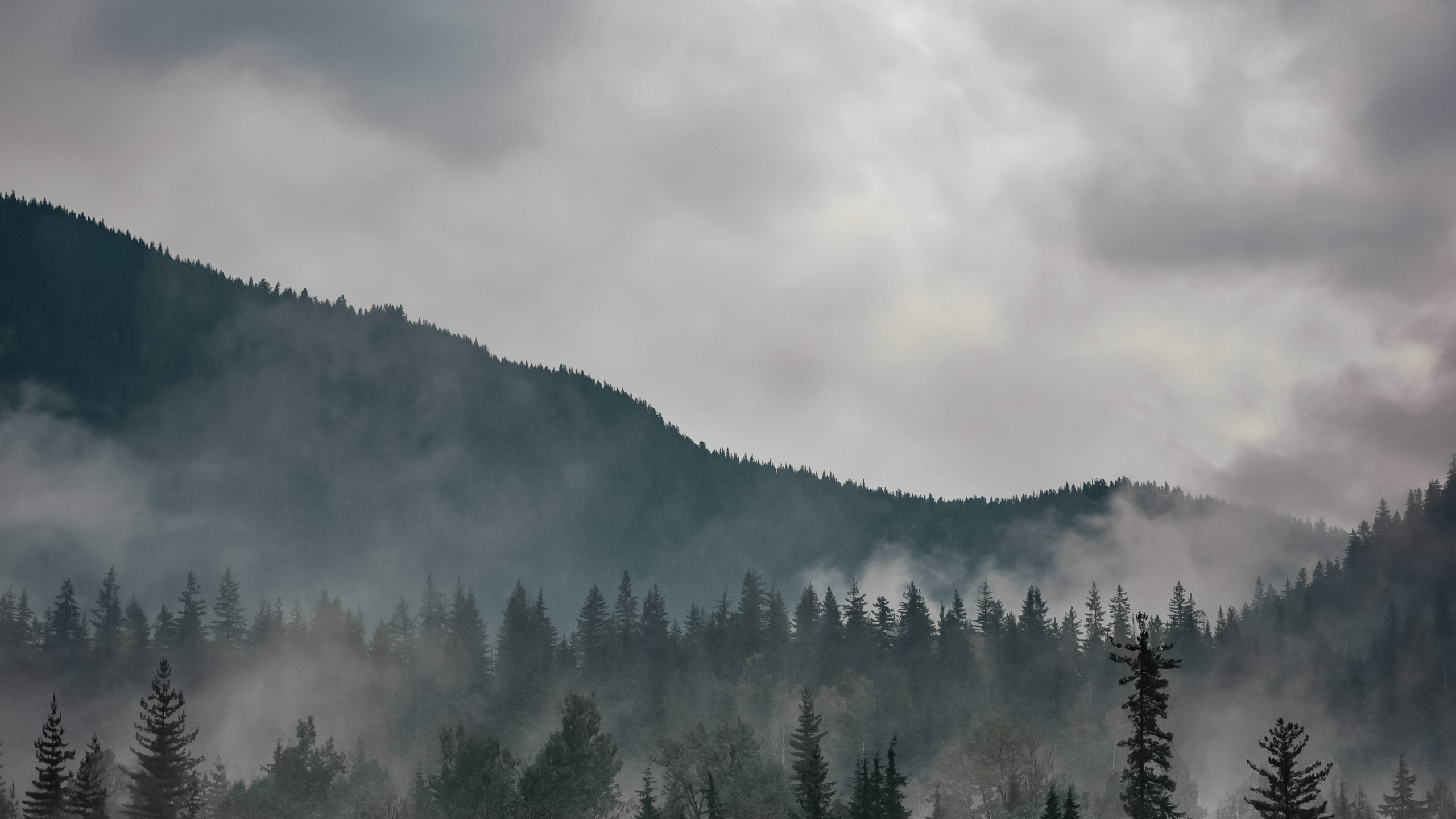 Atmosphère, L'écorégion, Environnement Naturel, Paysage Naturel, Highland. Wallpaper in 2560x1440 Resolution