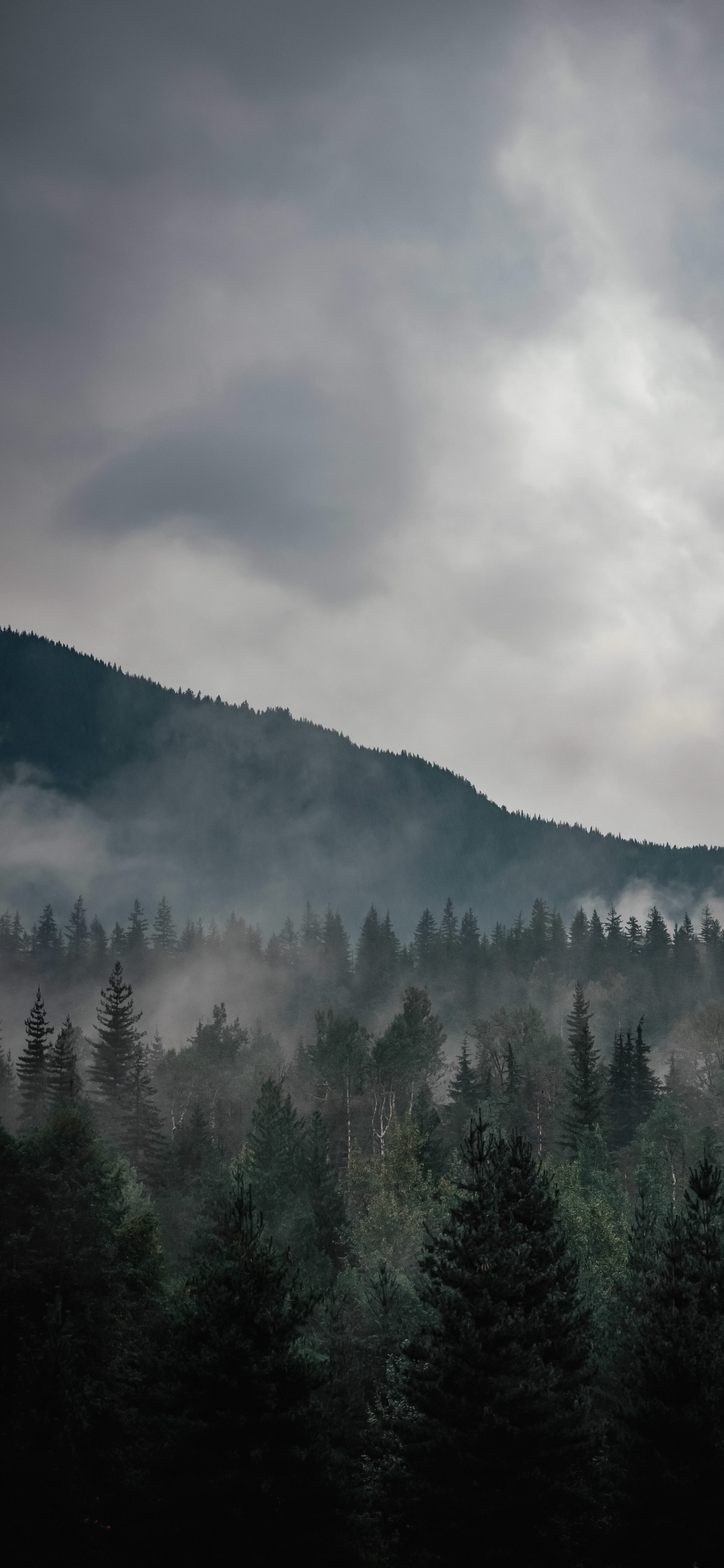 Cloud, Atmosphere, Ecoregion, Mountain, Natural Environment. Wallpaper in 1242x2688 Resolution