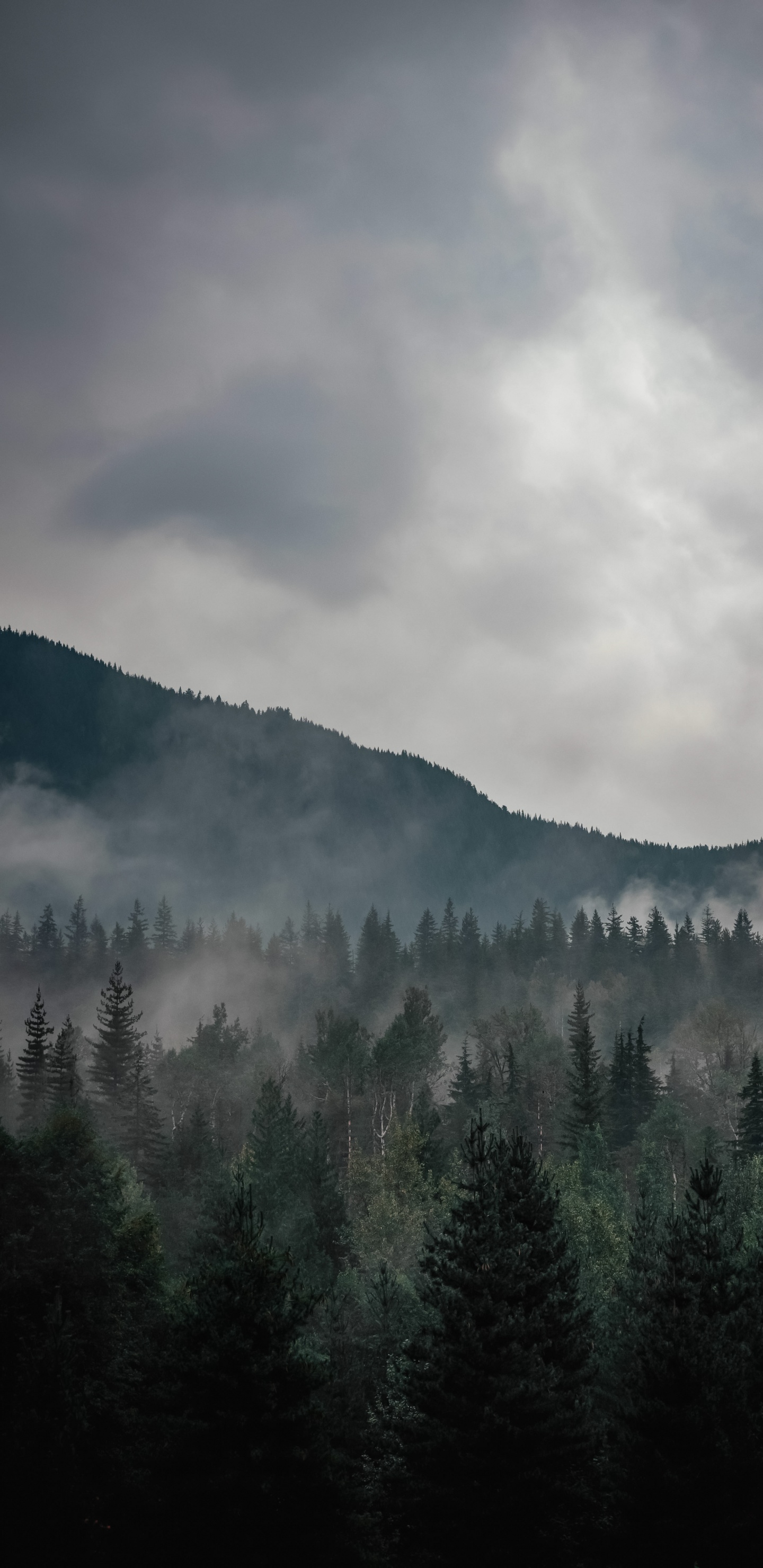 Cloud, Atmosphere, Ecoregion, Mountain, Natural Environment. Wallpaper in 1440x2960 Resolution