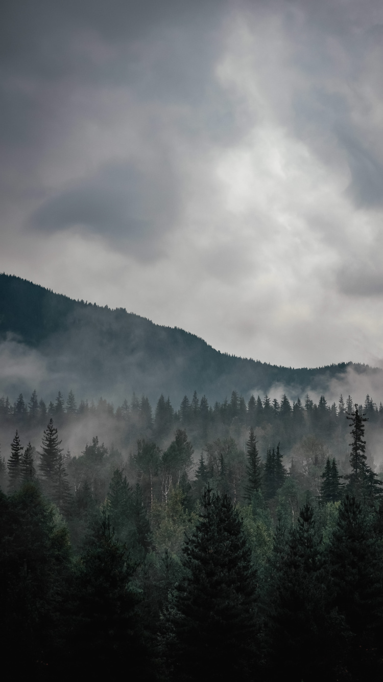 Cloud, Atmosphere, Ecoregion, Mountain, Natural Environment. Wallpaper in 750x1334 Resolution