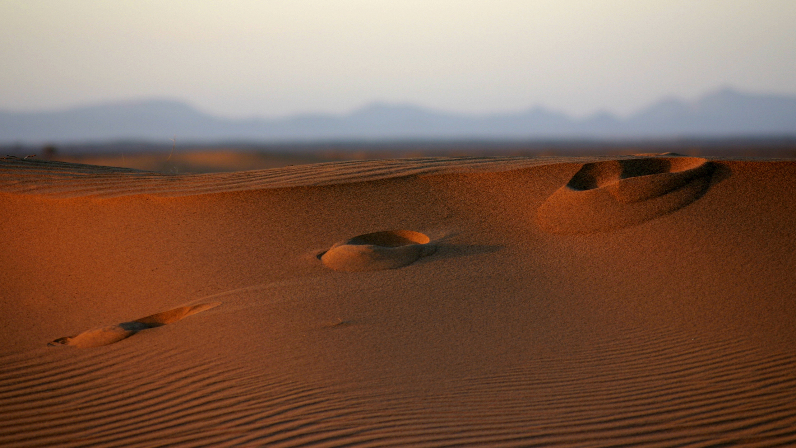 Brown Sand Under Blue Sky During Daytime. Wallpaper in 2560x1440 Resolution