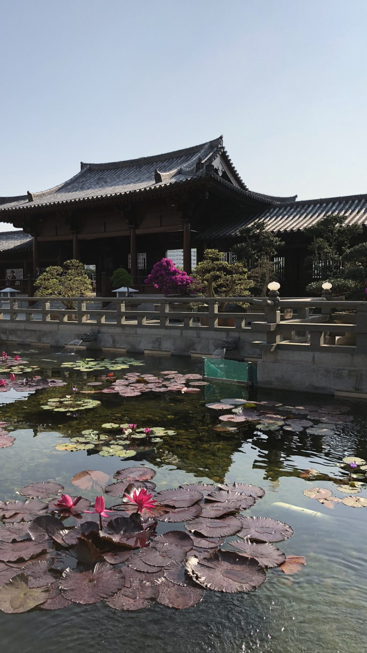 Chinese Architecture, Tourism, Water, Tourist Attraction, Body of Water. Wallpaper in 750x1334 Resolution