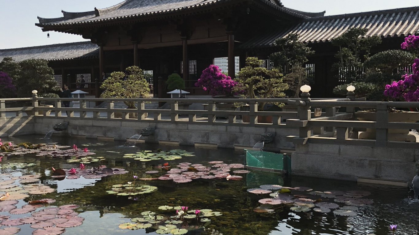 Chinesische Architektur, Tourismus, Wasser, Sehenswürdigkeit, Gewässer. Wallpaper in 1366x768 Resolution