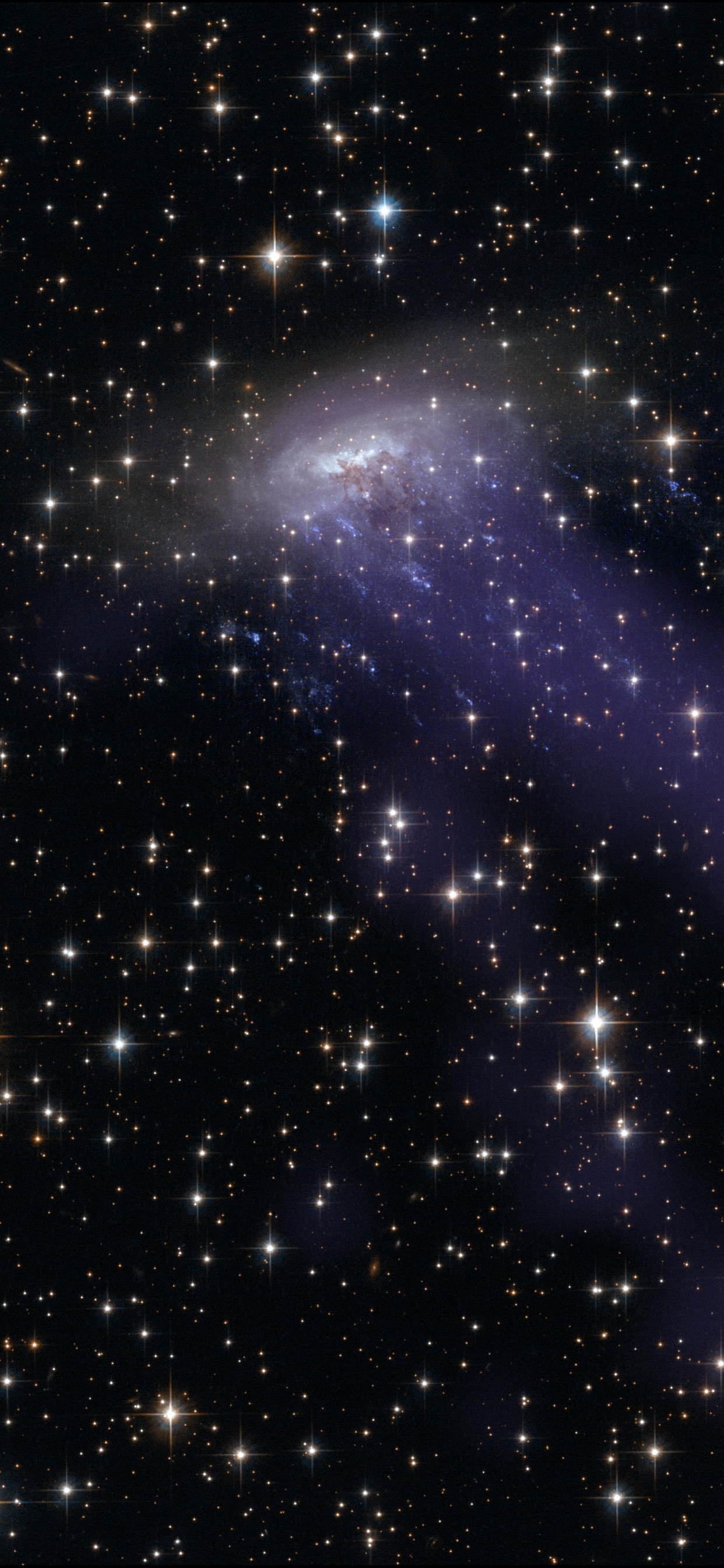 Estrellas Púrpuras y Blancas en el Cielo. Wallpaper in 1242x2688 Resolution