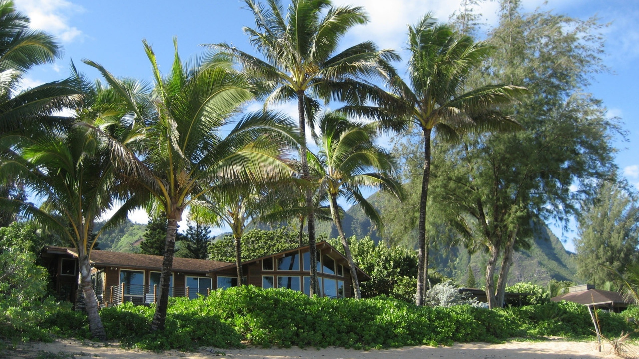 Palm Trees Near Brown Wooden House Under Blue Sky During Daytime. Wallpaper in 1280x720 Resolution