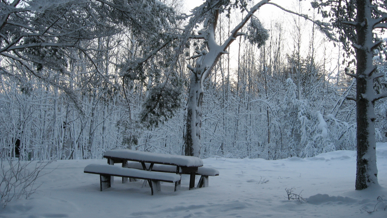 Banc en Bois Marron Recouvert de Neige. Wallpaper in 1280x720 Resolution