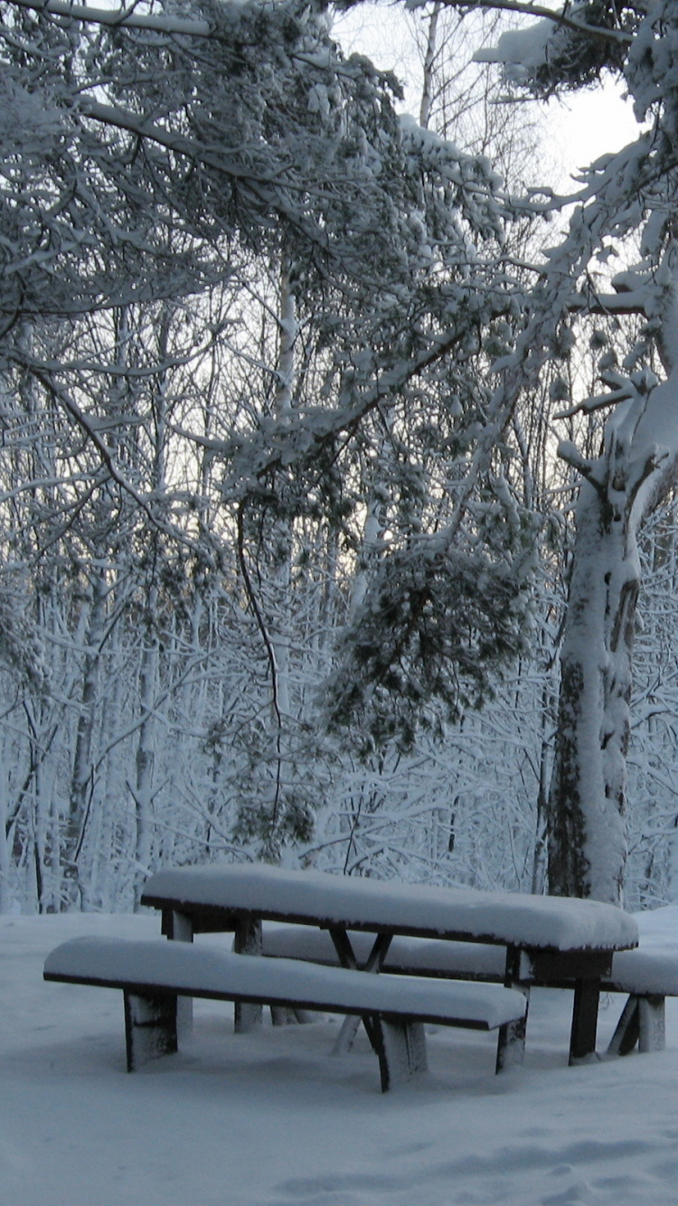 Banc en Bois Marron Recouvert de Neige. Wallpaper in 750x1334 Resolution