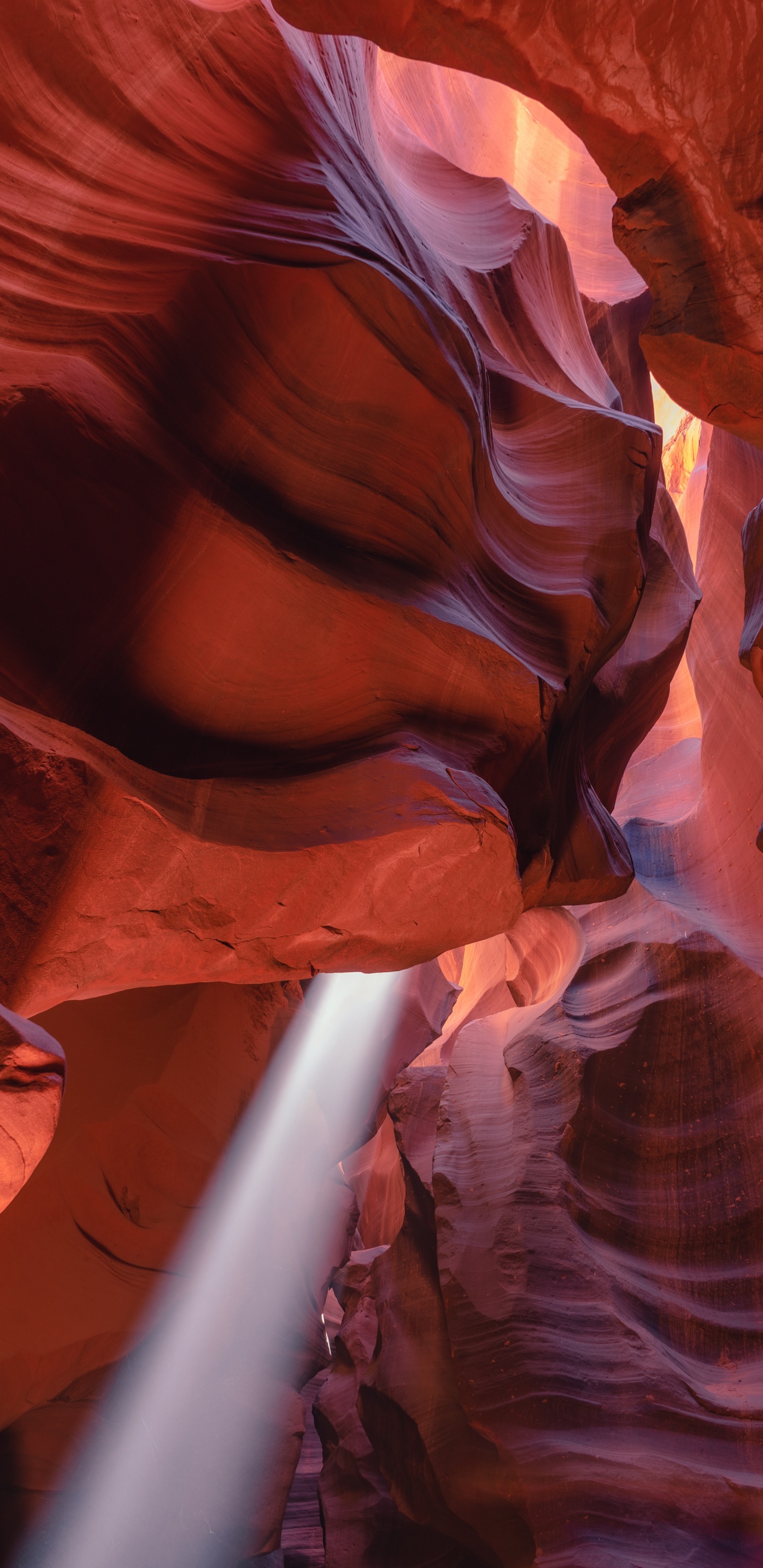 Antelope Canyon, Pagina, Monte Danxia, Danxia de Terreno, Cañon. Wallpaper in 1440x2960 Resolution