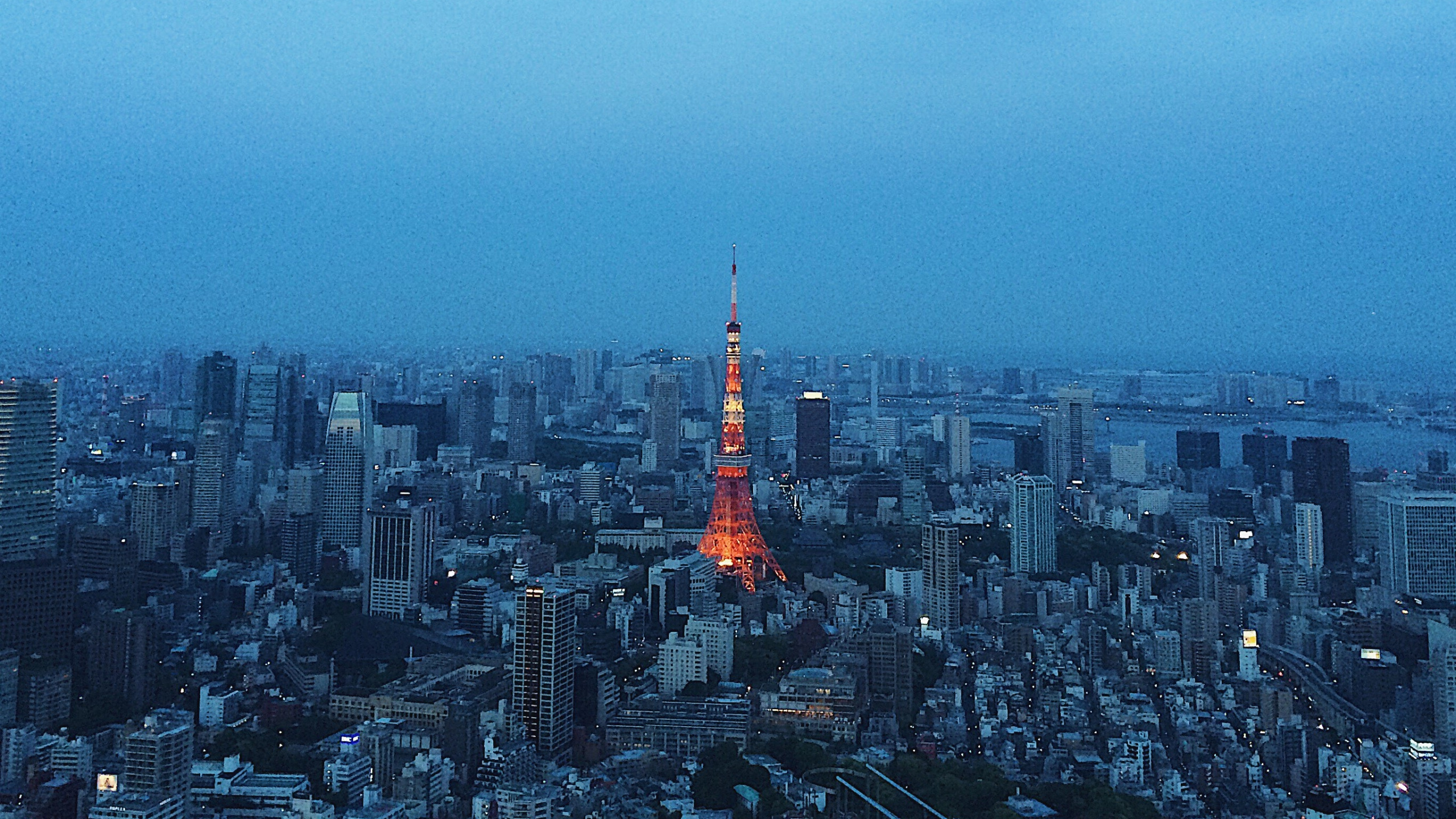 东京, 城市景观, 城市, 大都会, 里程碑 壁纸 2560x1440 允许