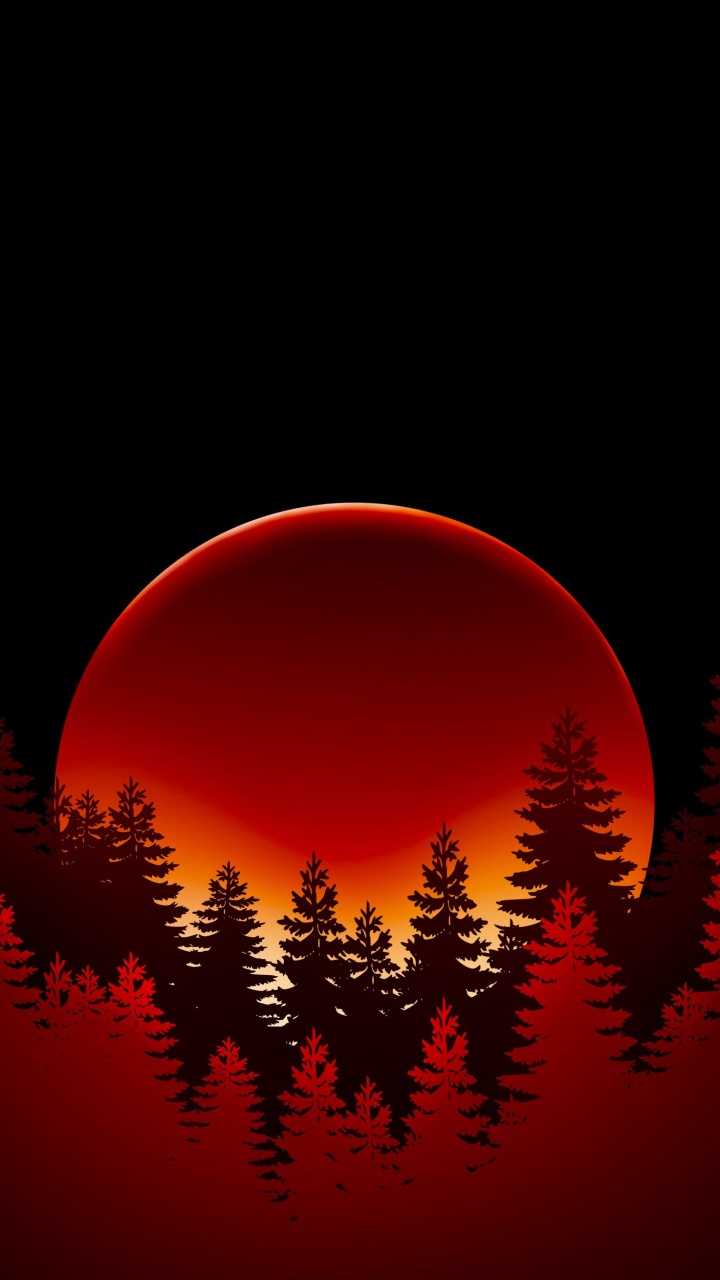 Lärche, Licht, Silhouette, Astronomisches Objekt, Orange. Wallpaper in 720x1280 Resolution