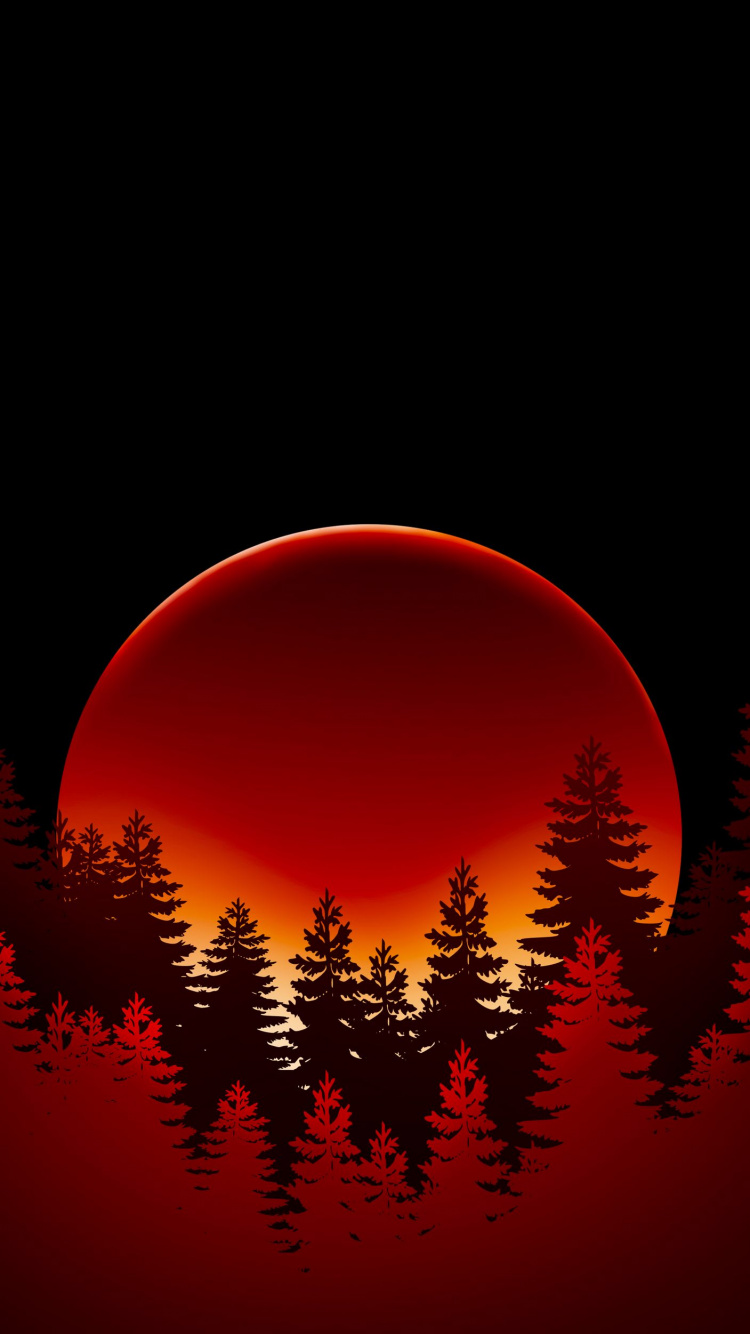 Lärche, Licht, Silhouette, Astronomisches Objekt, Orange. Wallpaper in 750x1334 Resolution