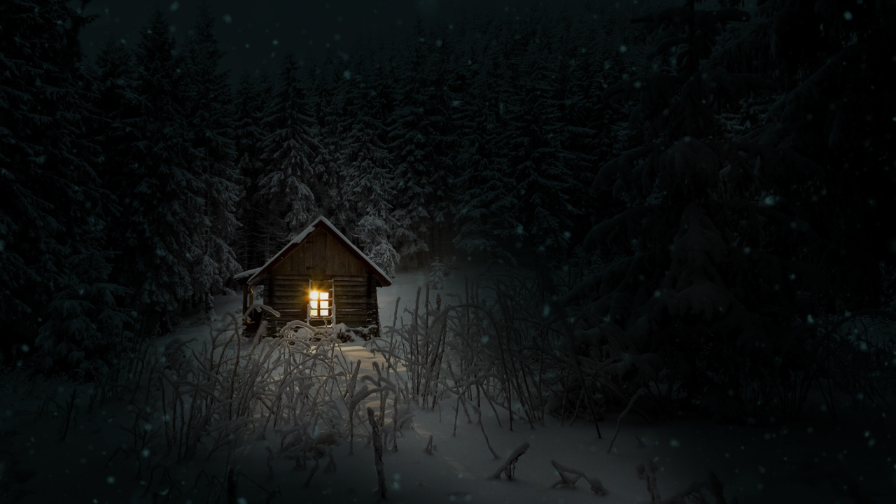 Winter, Night, Snow, Cold, Darkness. Wallpaper in 1280x720 Resolution