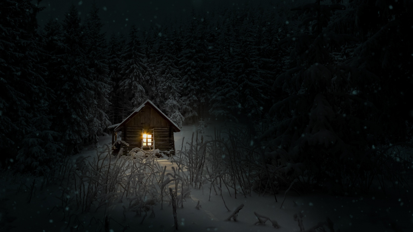 Winter, Night, Snow, Cold, Darkness. Wallpaper in 1366x768 Resolution