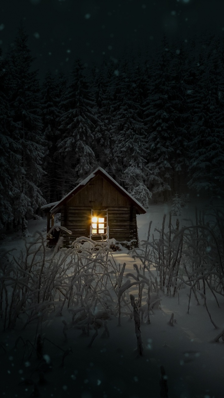 Hiver, Nuit, Neige, Rhume, Obscurité. Wallpaper in 720x1280 Resolution