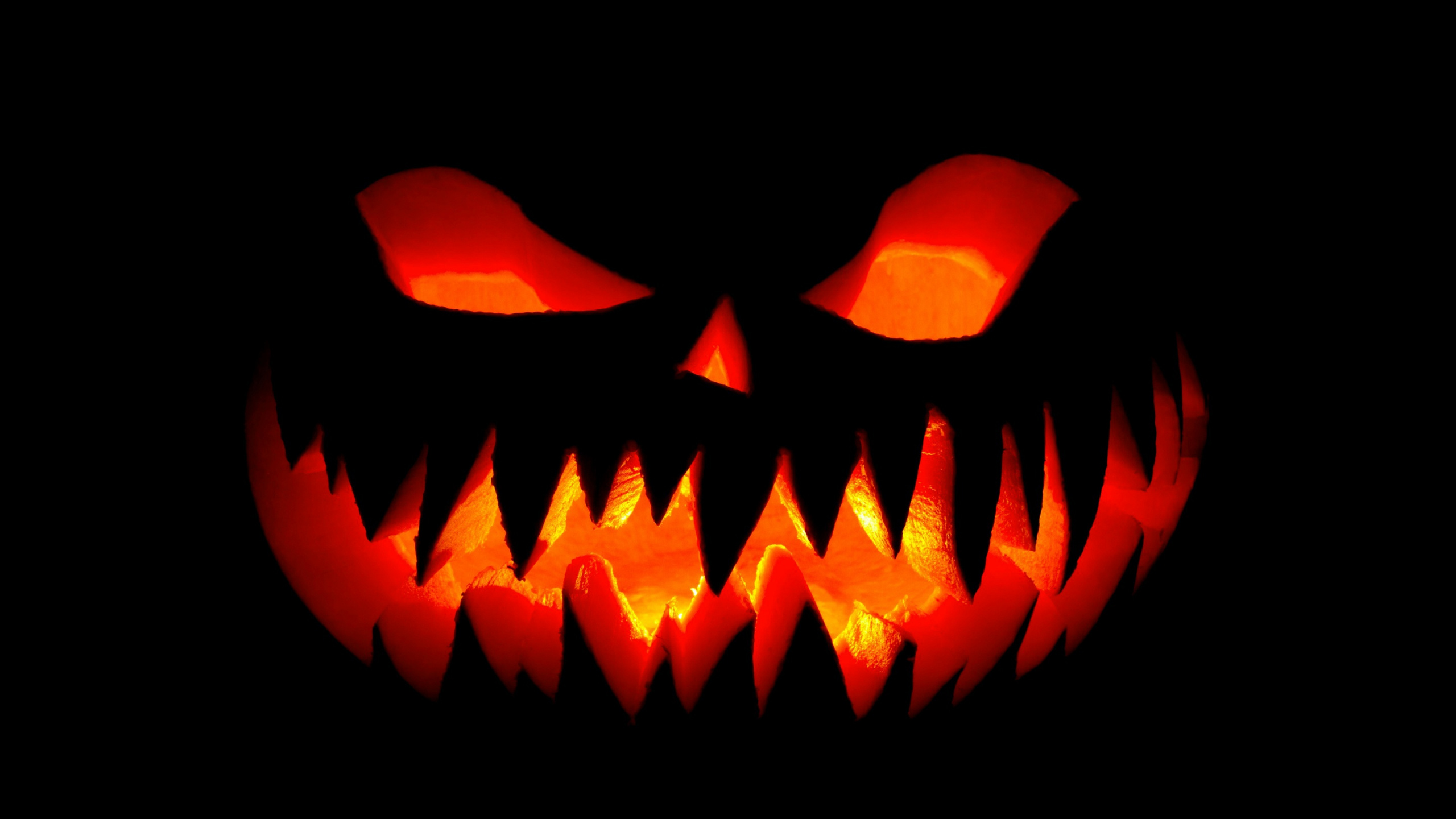 Jack o Lantern With Light. Wallpaper in 2560x1440 Resolution