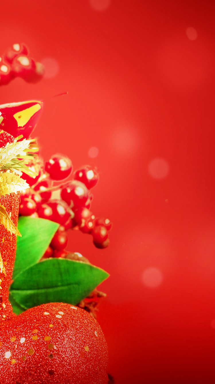 Le Jour De Noël, Nouvelle Année, Décoration de Noël, Fruits, Ornement de Noël. Wallpaper in 750x1334 Resolution