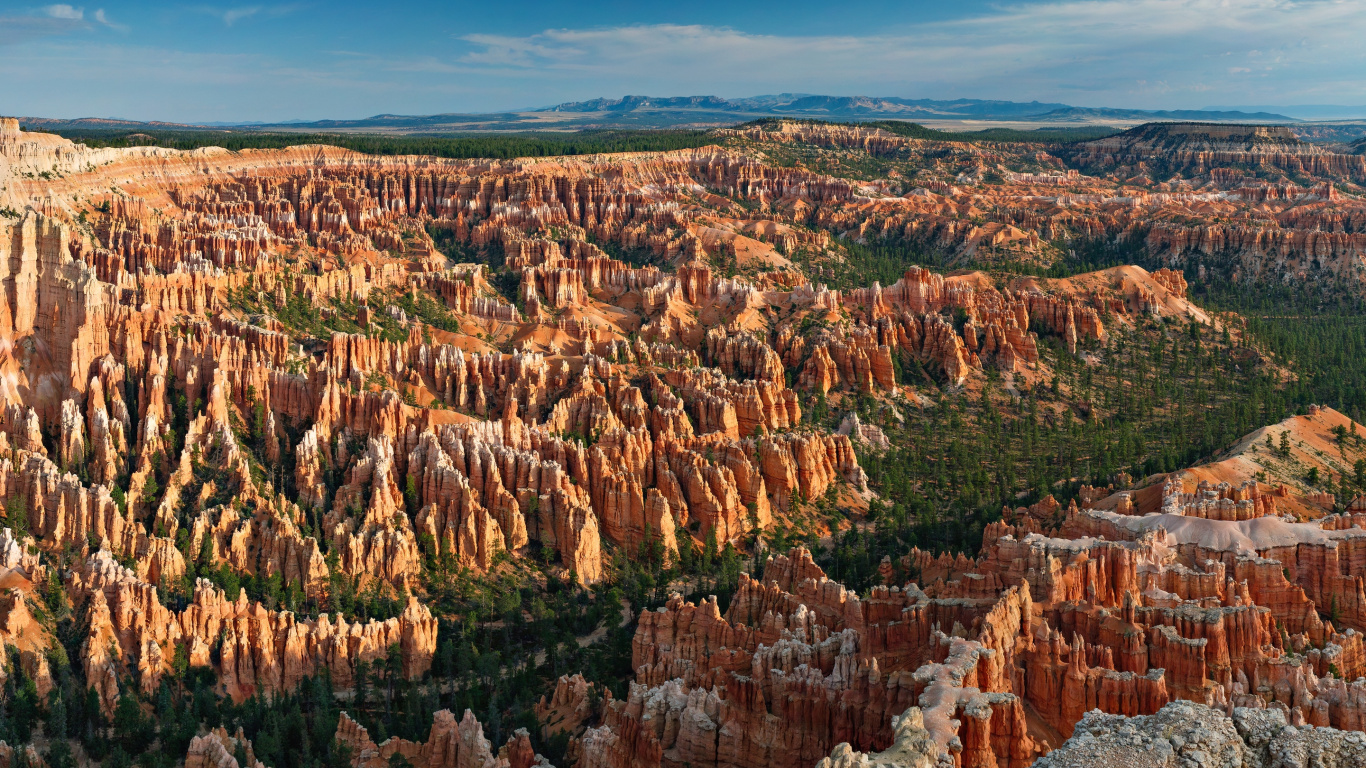 Braune Und Grüne Bäume Unter Blauem Himmel Tagsüber. Wallpaper in 1366x768 Resolution
