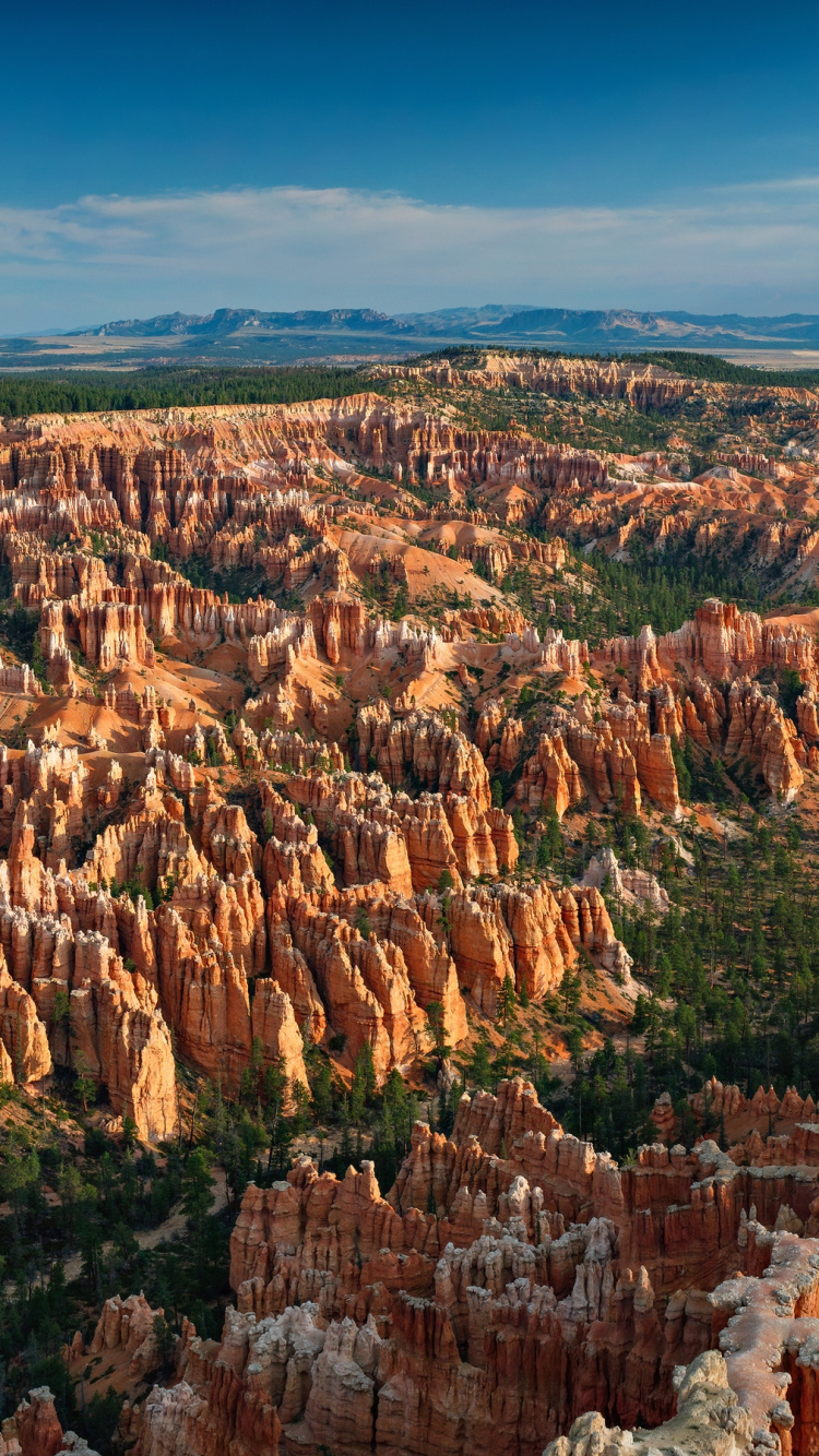 Braune Und Grüne Bäume Unter Blauem Himmel Tagsüber. Wallpaper in 750x1334 Resolution