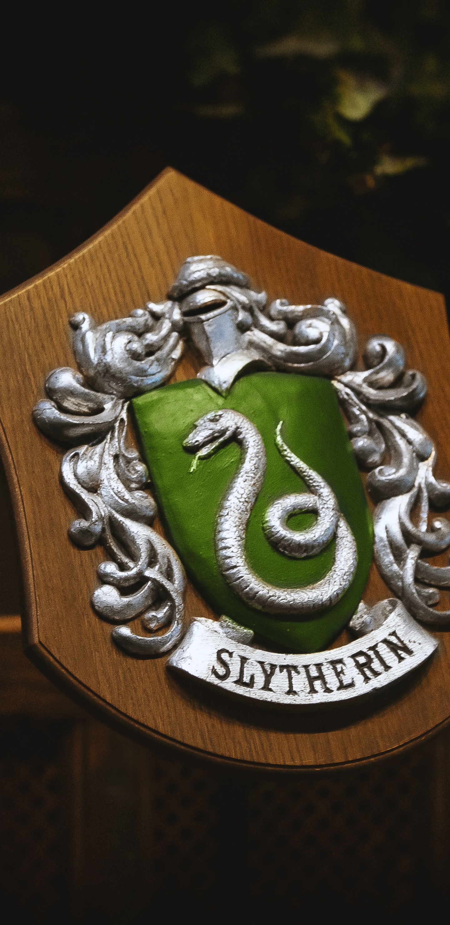 Harry Potter, Draco Malfoy, Ron Weasley, Hermine Granger, Warner Bros Studio Tour London. Wallpaper in 1440x2960 Resolution