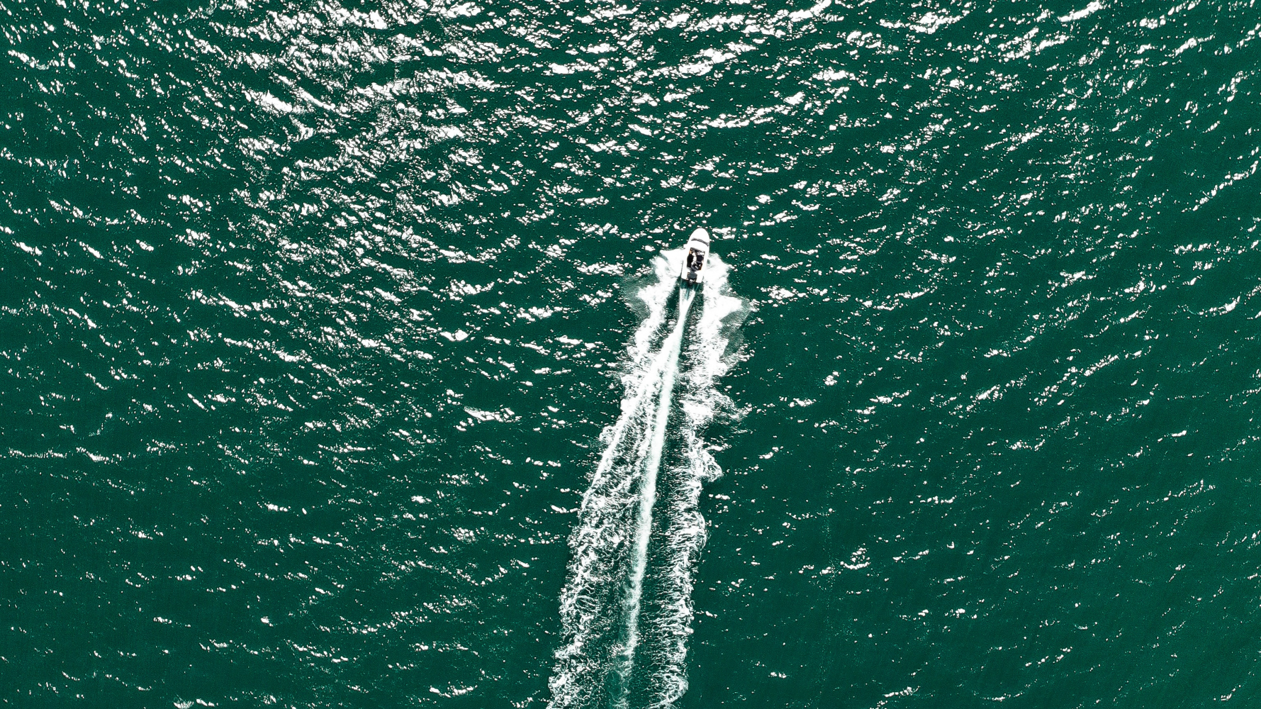 Wasser, Gr, Wasserressourcen, Meer, Welle. Wallpaper in 2560x1440 Resolution