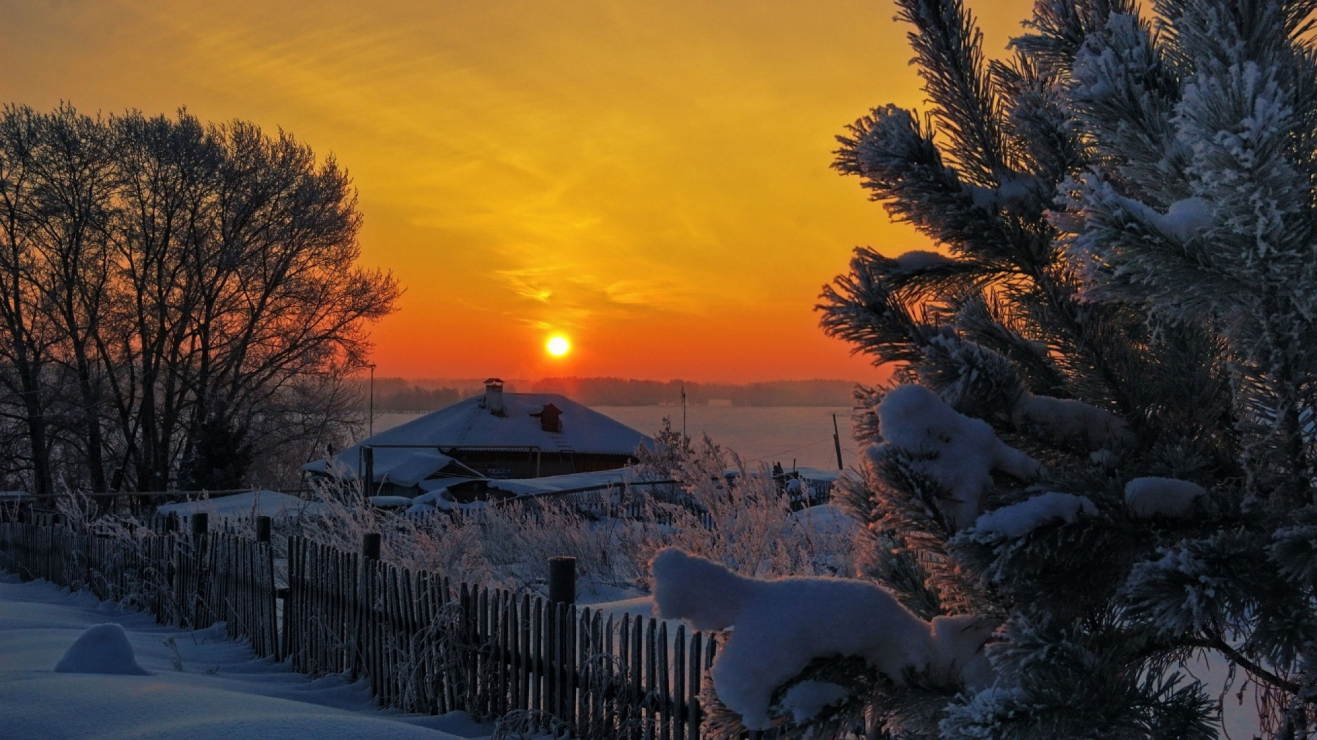 Mouton Blanc Sur Sol Couvert de Neige Pendant le Coucher du Soleil. Wallpaper in 1920x1080 Resolution